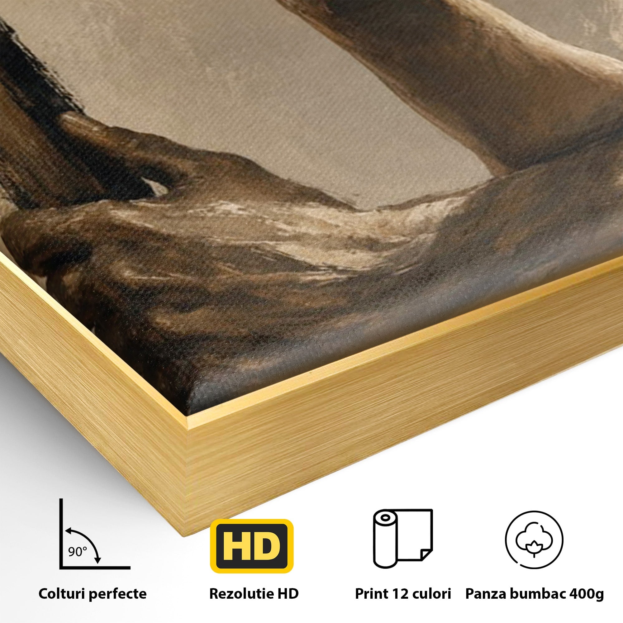 Tablou Canvas Premium LuxCanva® PI1162, Urcarea Pe Scara, Pasi, Maini, Picioare, Trepte, Living, Birou, Culori Vibrante