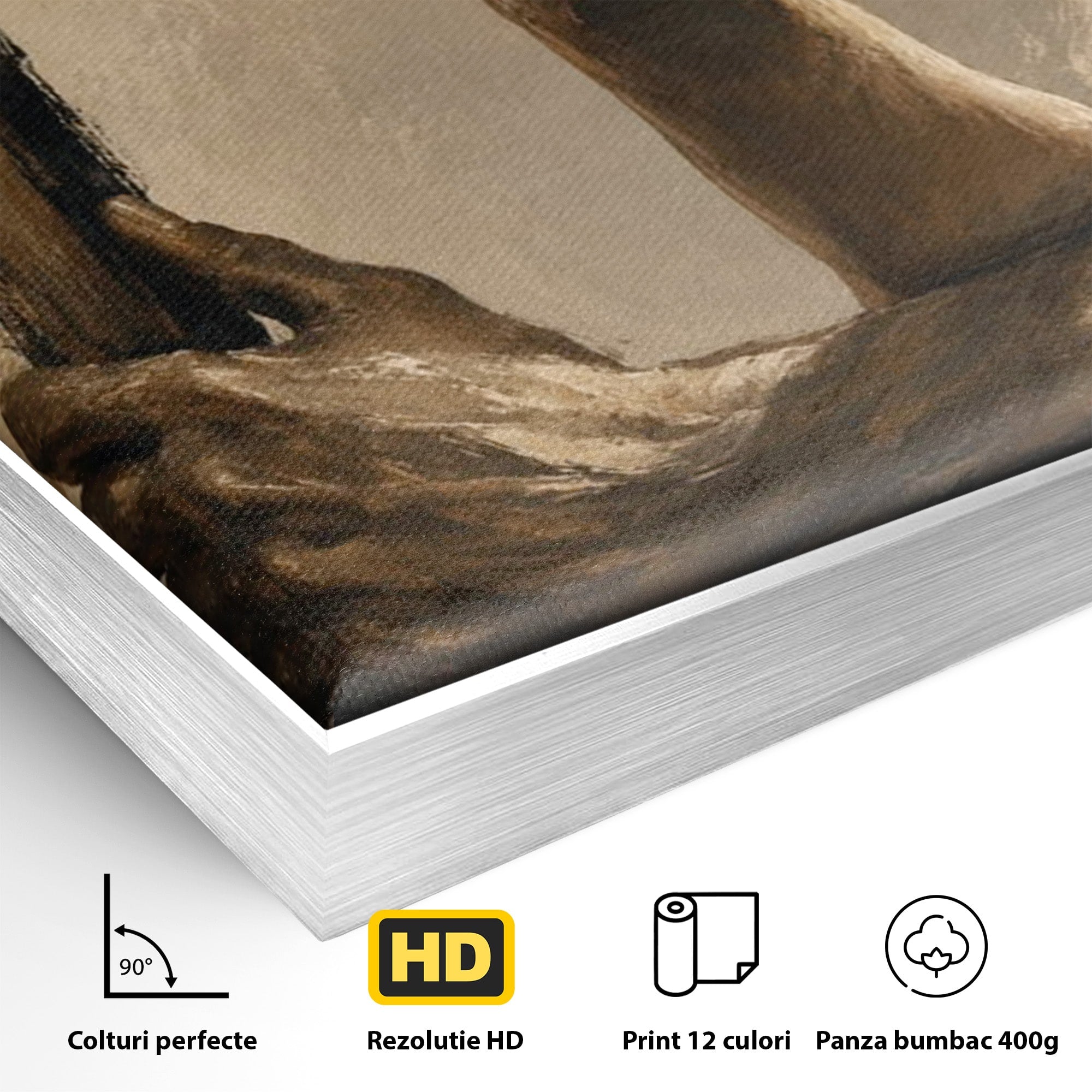 Tablou Canvas Premium LuxCanva® PI1162, Urcarea Pe Scara, Pasi, Maini, Picioare, Trepte, Living, Birou, Culori Vibrante