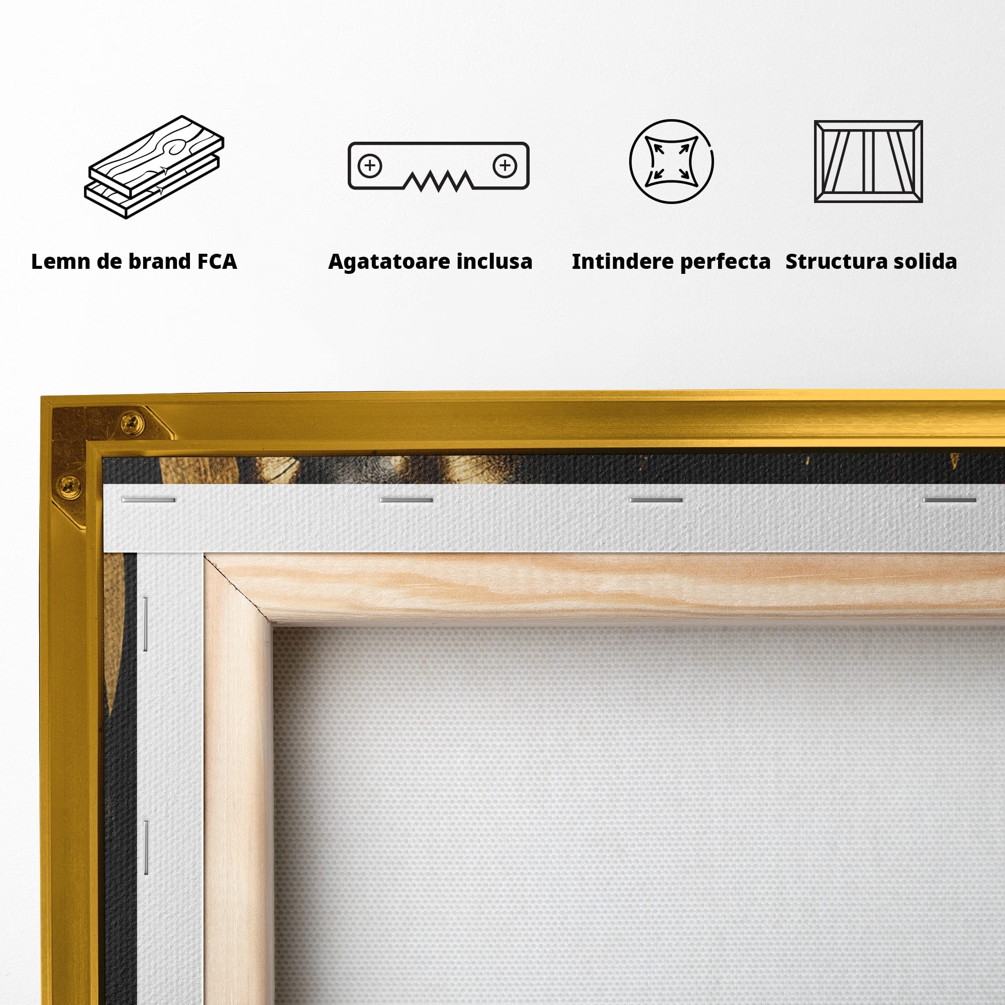 Tablou Canvas Premium LuxCanva® PI1172, Aura De Aur, Portret, Eleganta, Aur, Femeie, Dormitor, Culori Vibrante