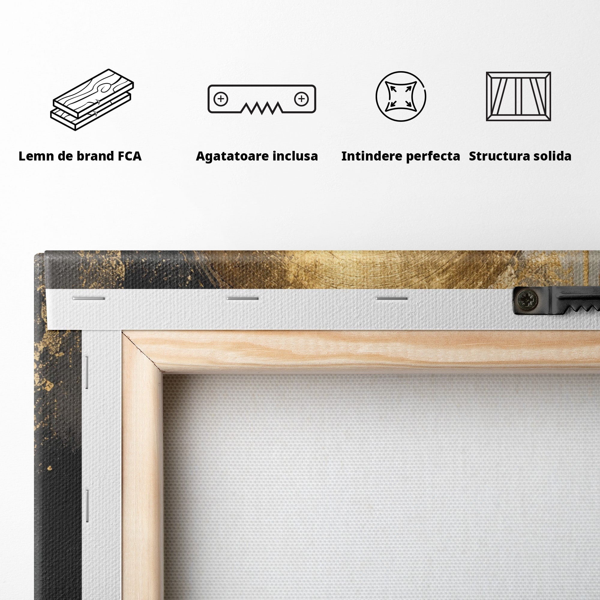Tablou Canvas Premium LuxCanva® PI1175, Cercul Auriu, Abis, Abstract, Modern, Arta, Birou, Culori Vibrante