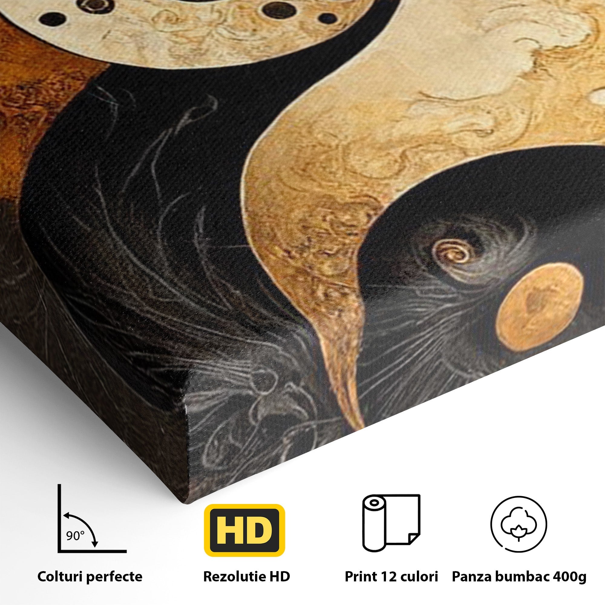 Tablou Canvas Premium LuxCanva® PI1181, Yin Si Yang, Abstract, Cercuri, Arta, Echilibru, Meditatie, Living, Birou, Culori Vibrante