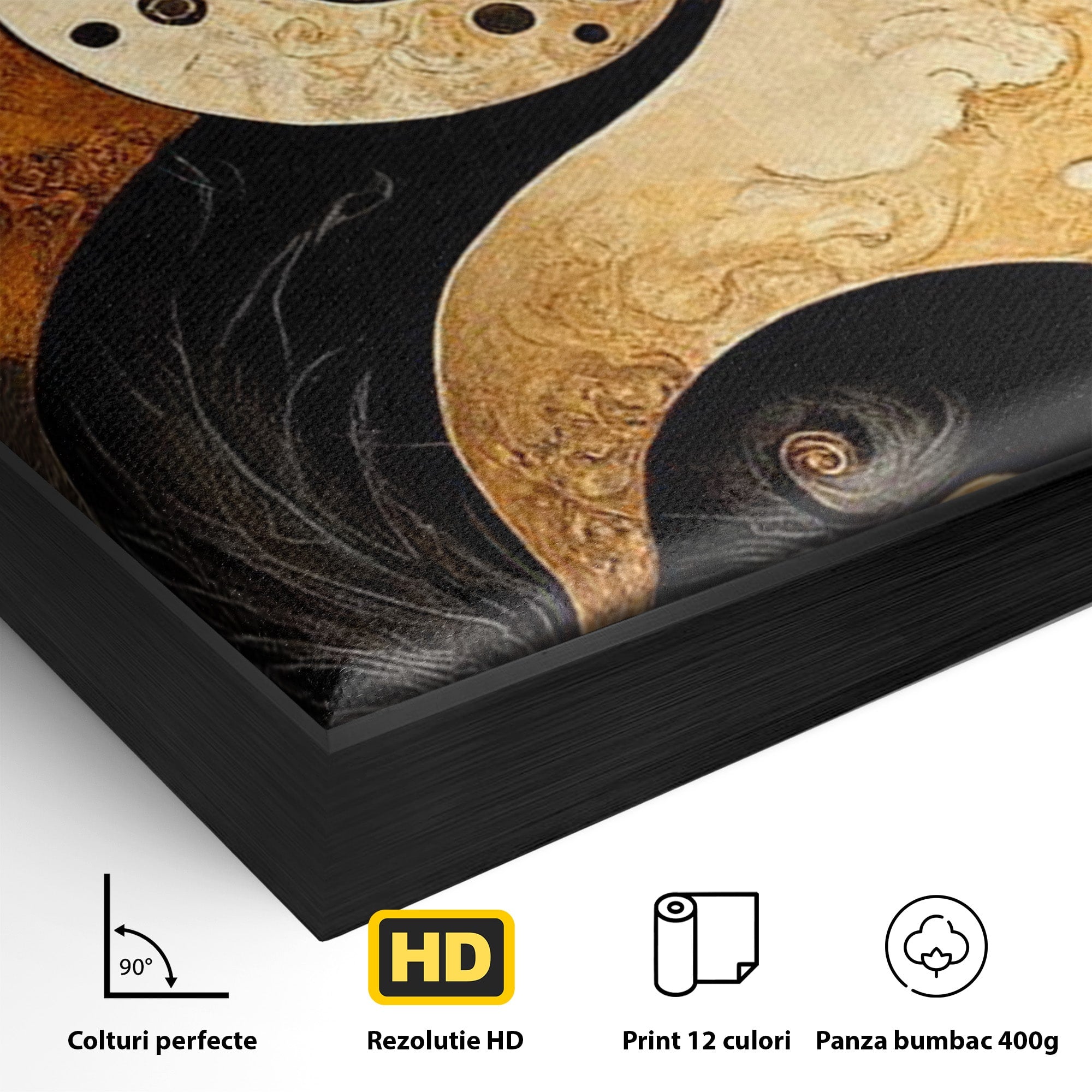 Tablou Canvas Premium LuxCanva® PI1181, Yin Si Yang, Abstract, Cercuri, Arta, Echilibru, Meditatie, Living, Birou, Culori Vibrante