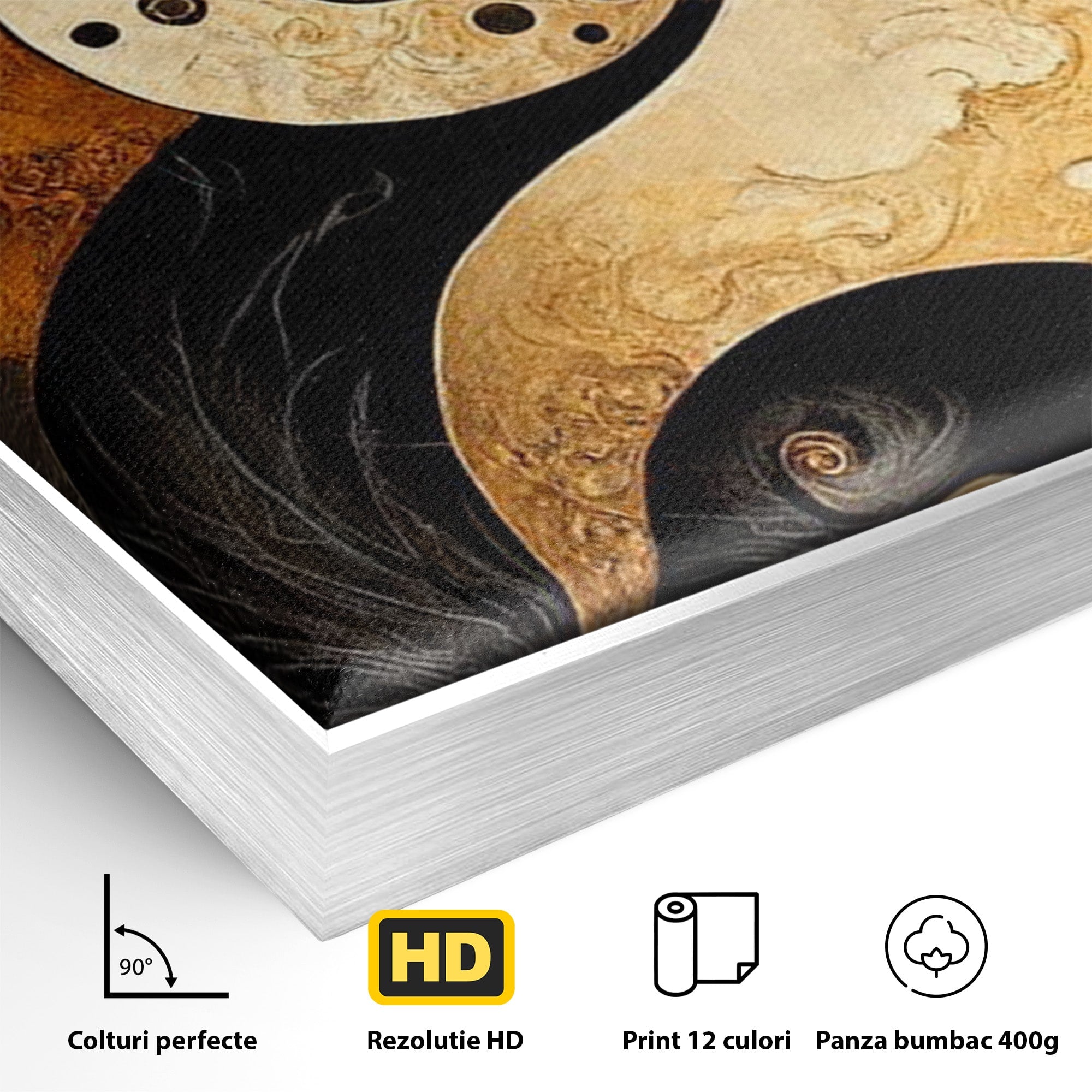 Tablou Canvas Premium LuxCanva® PI1181, Yin Si Yang, Abstract, Cercuri, Arta, Echilibru, Meditatie, Living, Birou, Culori Vibrante