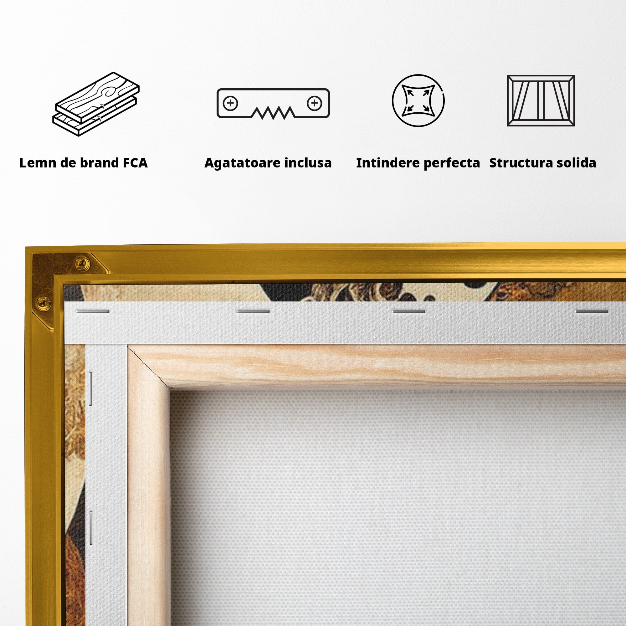 Tablou Canvas Premium LuxCanva® PI1181, Yin Si Yang, Abstract, Cercuri, Arta, Echilibru, Meditatie, Living, Birou, Culori Vibrante