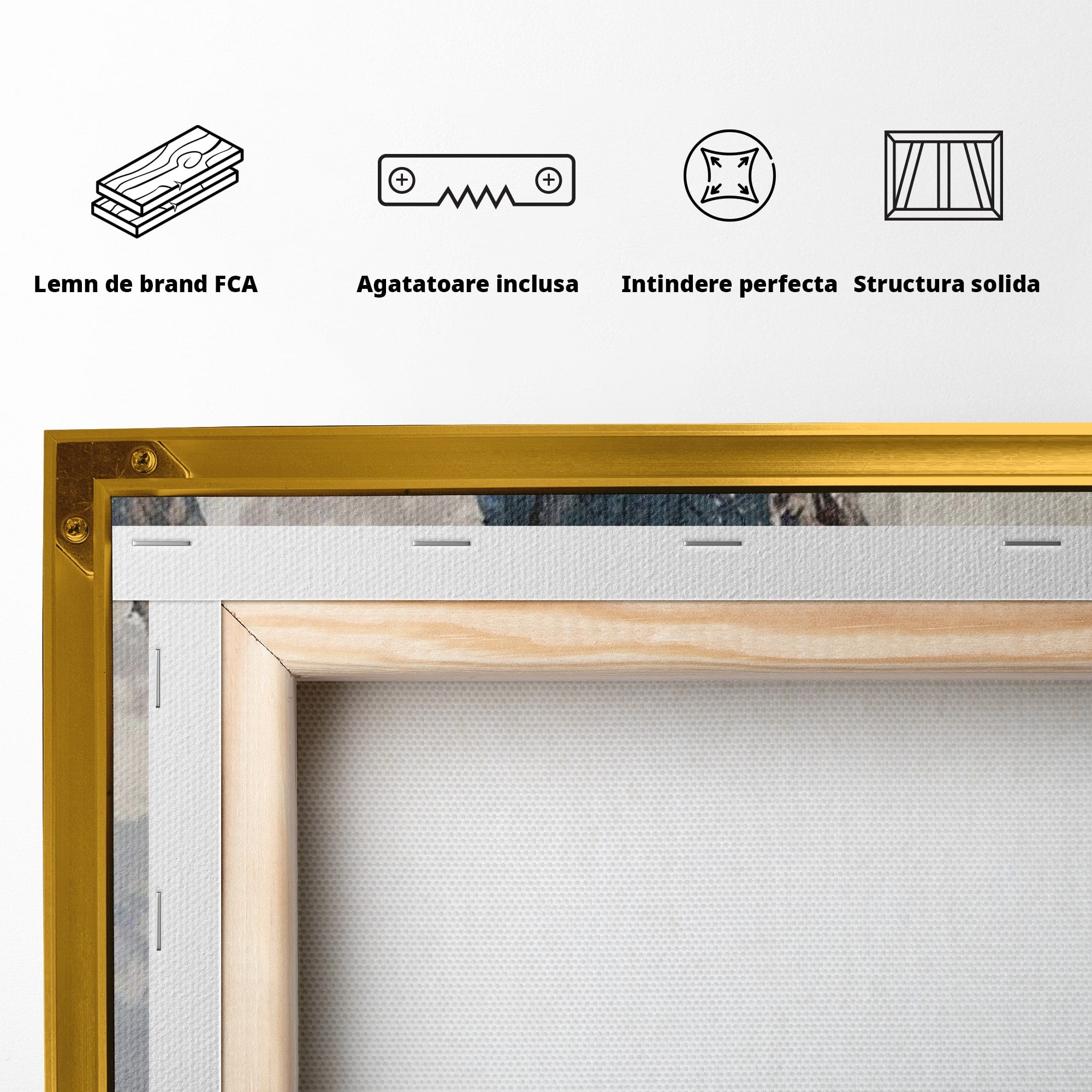 Tablou Canvas Premium LuxCanva® PI1186, Intalnire Cu Dragonul, Daenerys, Targaryen, Foc, Putere, Mama, Living, Culori Vibrante