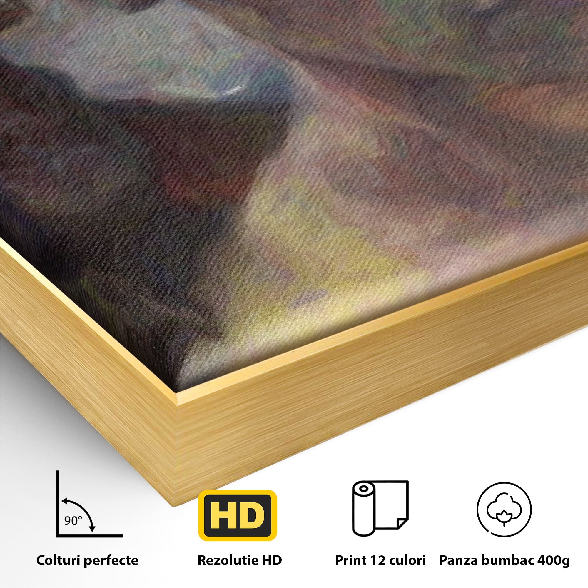 Tablou Canvas Premium LuxCanva® PI1188, Mostenirea Targaryen, Fantezie, Foc, Dragon, Fictiune, Living, Culori Vibrante