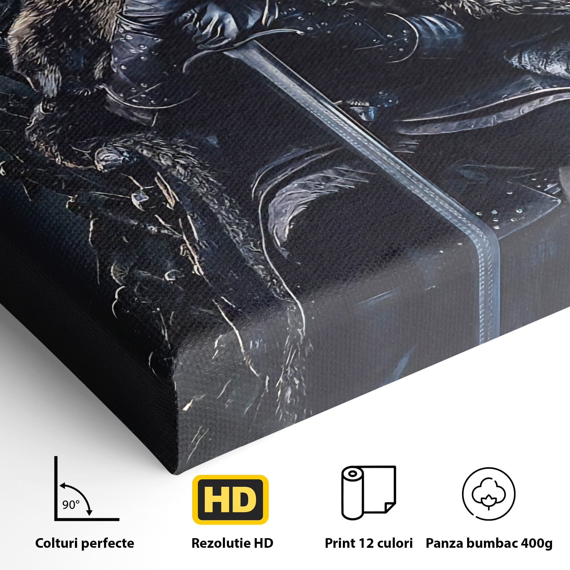 Tablou Canvas Premium LuxCanva® PI1191, Juramantul Regelui, Tron, Coroana, Fier, Putere, Dark, Living, Birou, Culori Vibrante