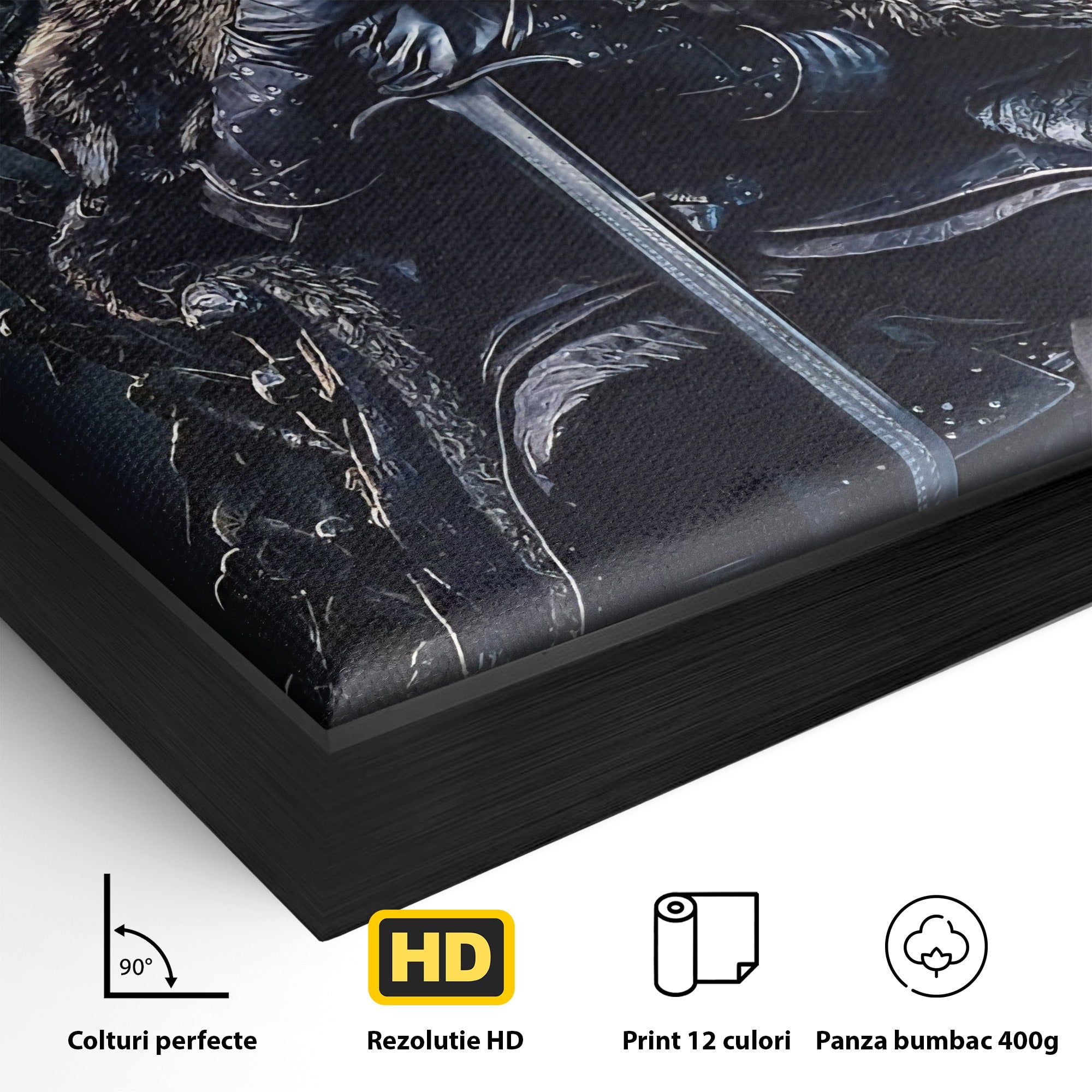 Tablou Canvas Premium LuxCanva® PI1191, Juramantul Regelui, Tron, Coroana, Fier, Putere, Dark, Living, Birou, Culori Vibrante