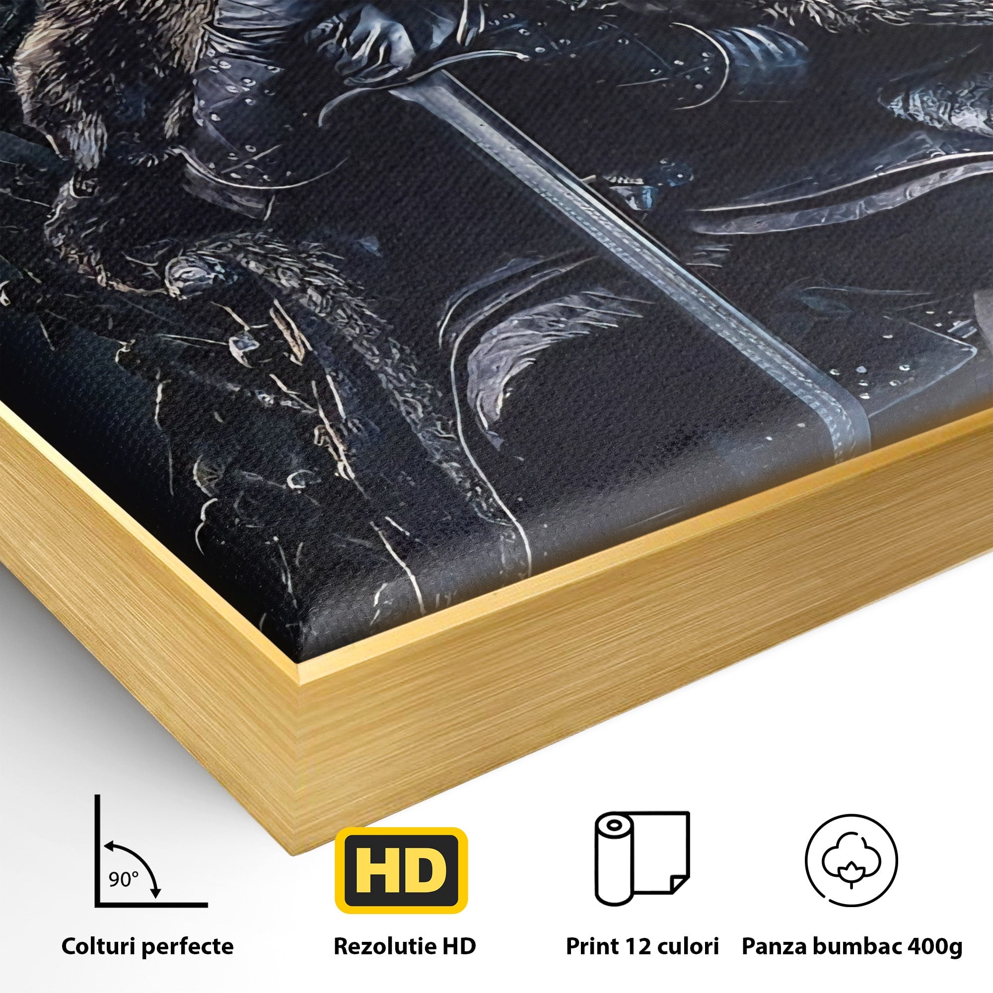 Tablou Canvas Premium LuxCanva® PI1191, Juramantul Regelui, Tron, Coroana, Fier, Putere, Dark, Living, Birou, Culori Vibrante