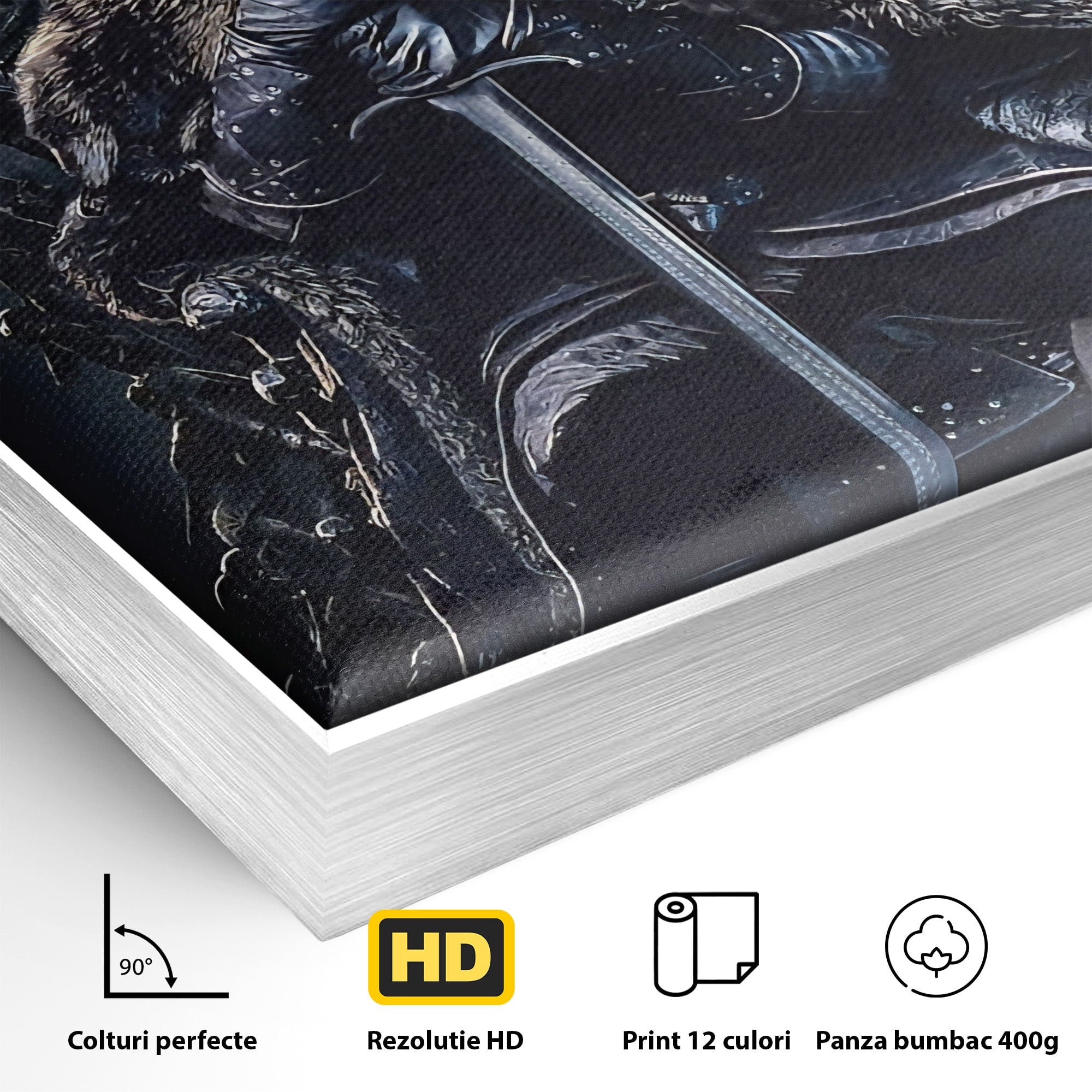 Tablou Canvas Premium LuxCanva® PI1191, Juramantul Regelui, Tron, Coroana, Fier, Putere, Dark, Living, Birou, Culori Vibrante