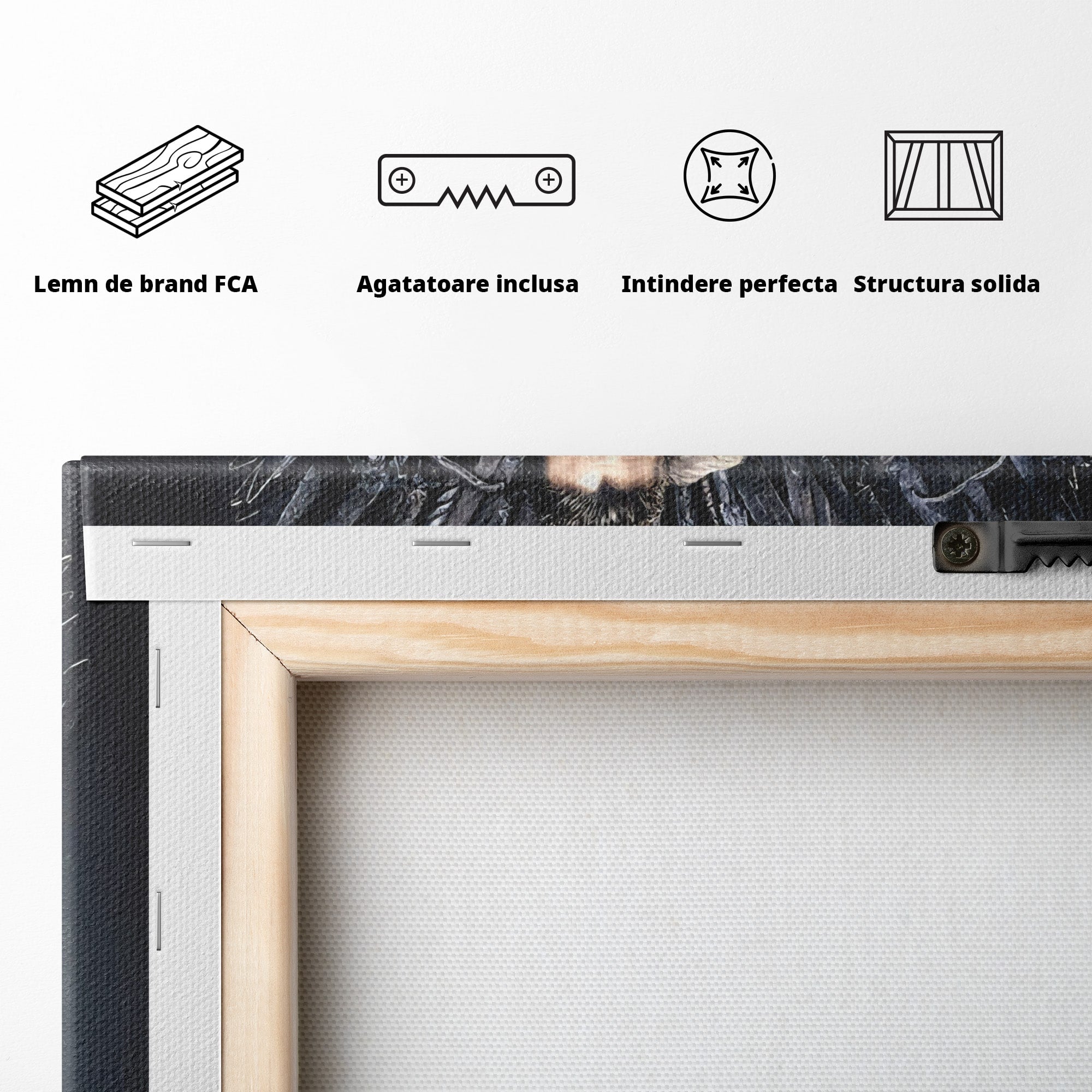 Tablou Canvas Premium LuxCanva® PI1191, Juramantul Regelui, Tron, Coroana, Fier, Putere, Dark, Living, Birou, Culori Vibrante