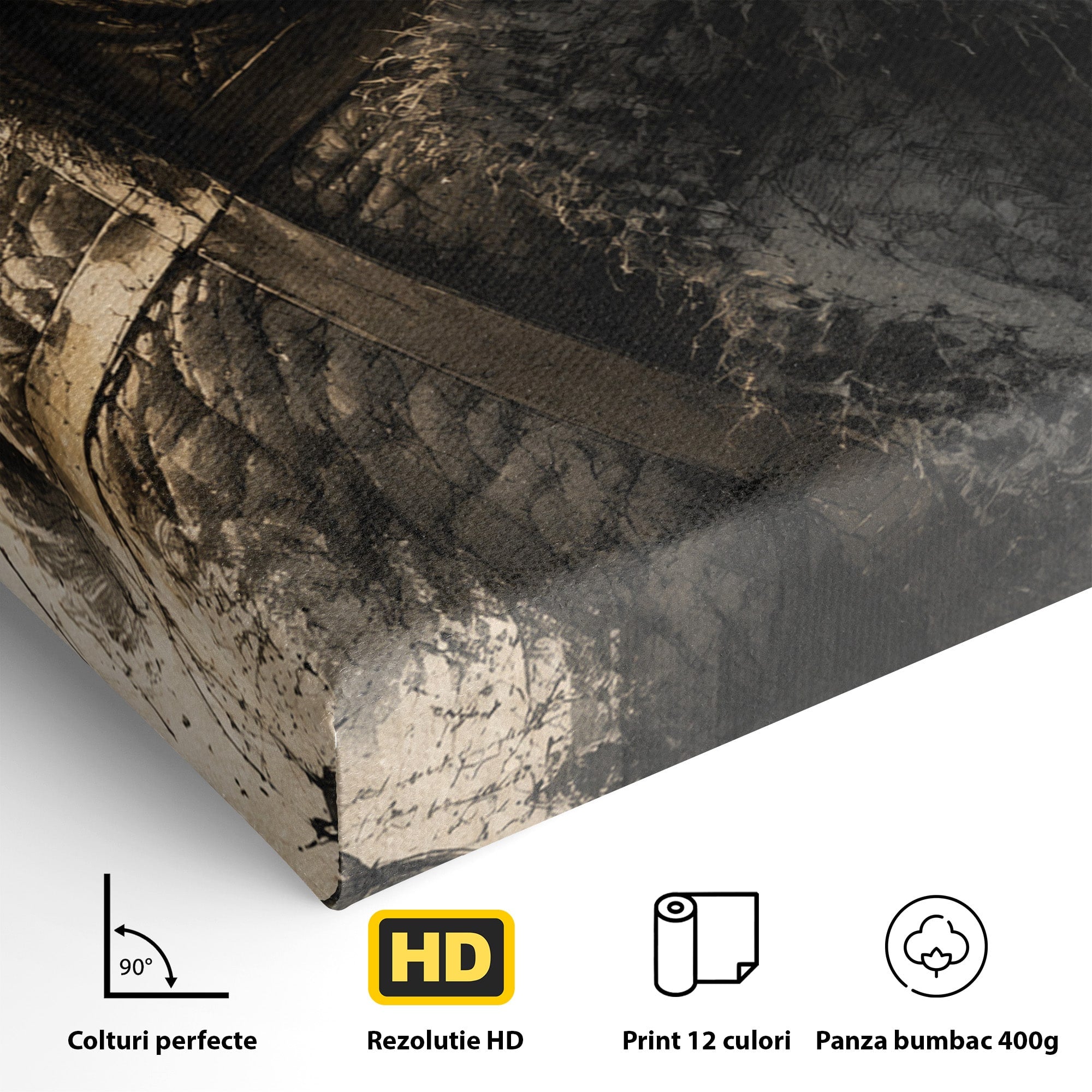 Tablou Canvas Premium LuxCanva® PI1197, Razboinic Medieval, Razboinic, Serial, Portret, Istorie, Living, Culori Vibrante