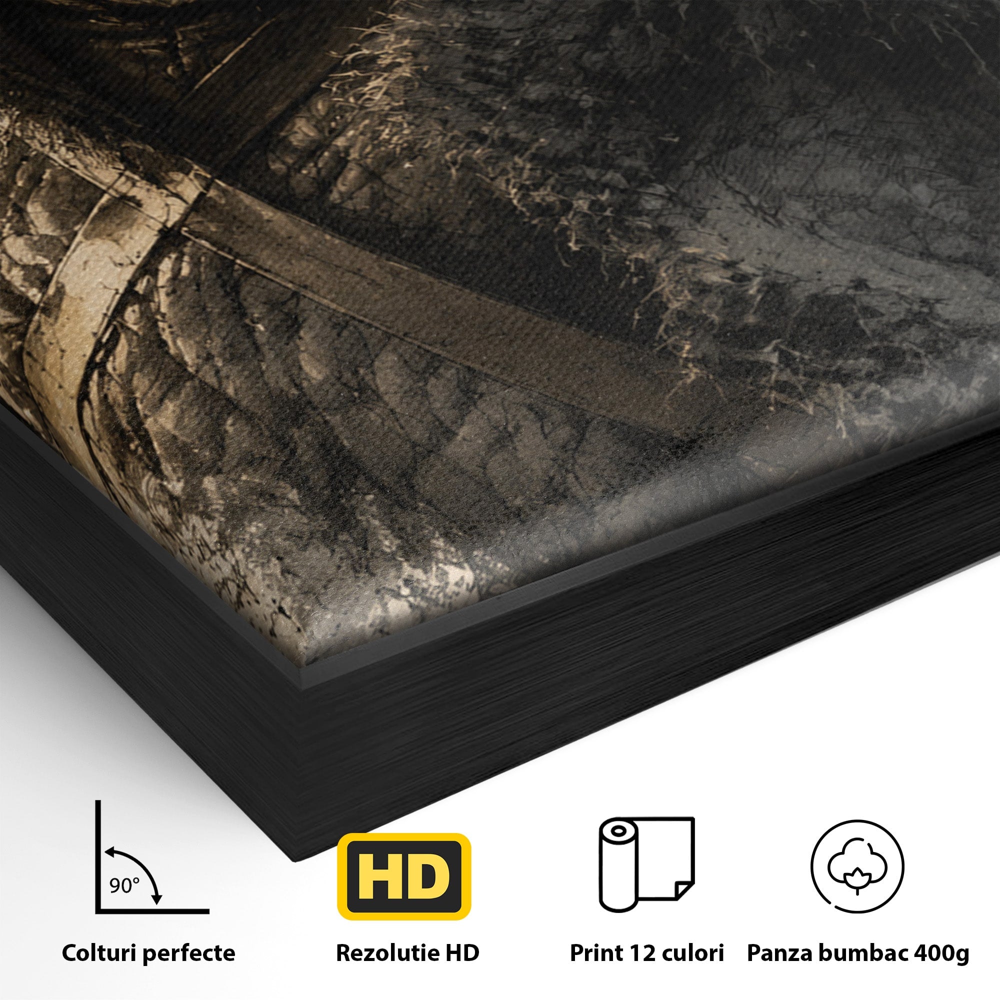Tablou Canvas Premium LuxCanva® PI1197, Razboinic Medieval, Razboinic, Serial, Portret, Istorie, Living, Culori Vibrante