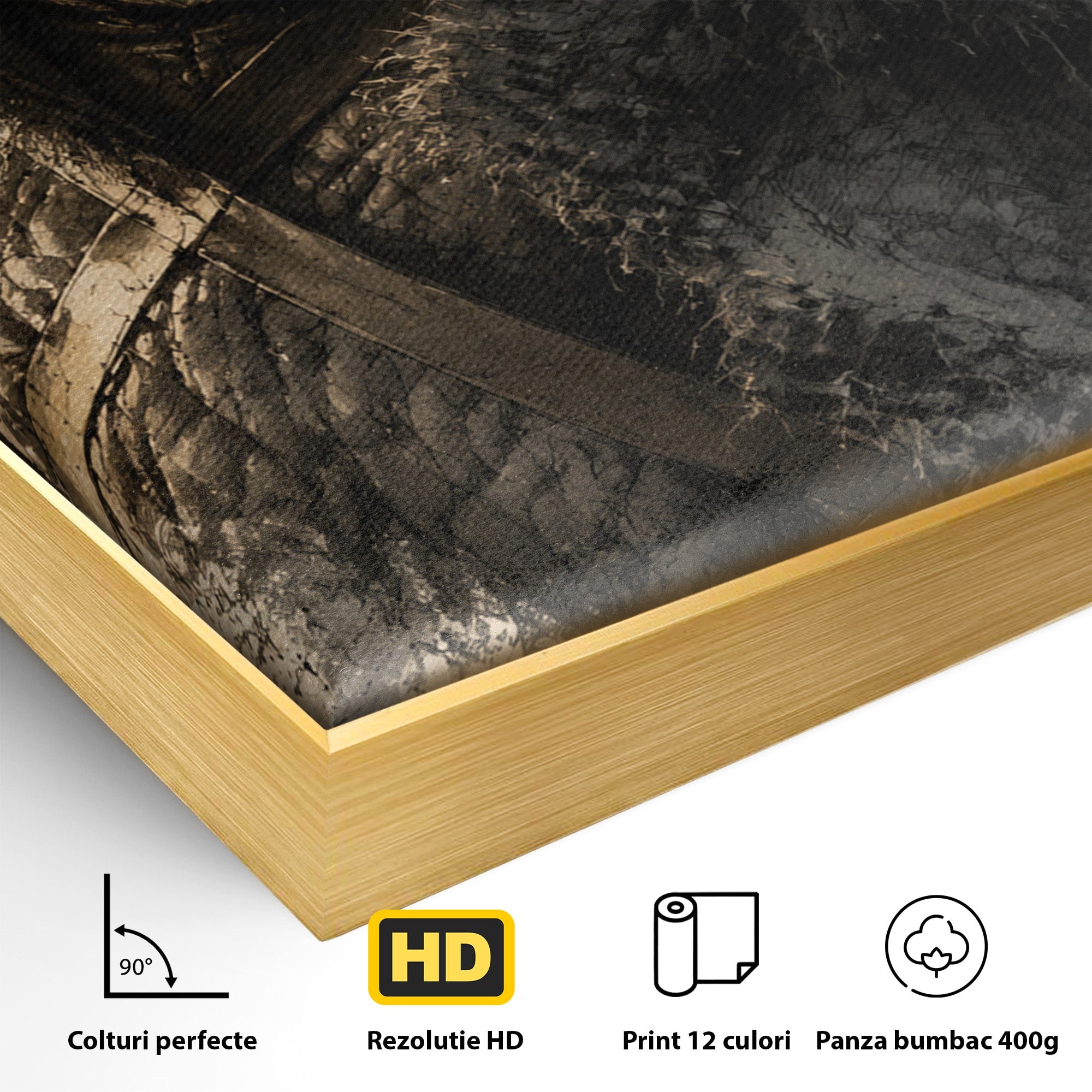 Tablou Canvas Premium LuxCanva® PI1197, Razboinic Medieval, Razboinic, Serial, Portret, Istorie, Living, Culori Vibrante