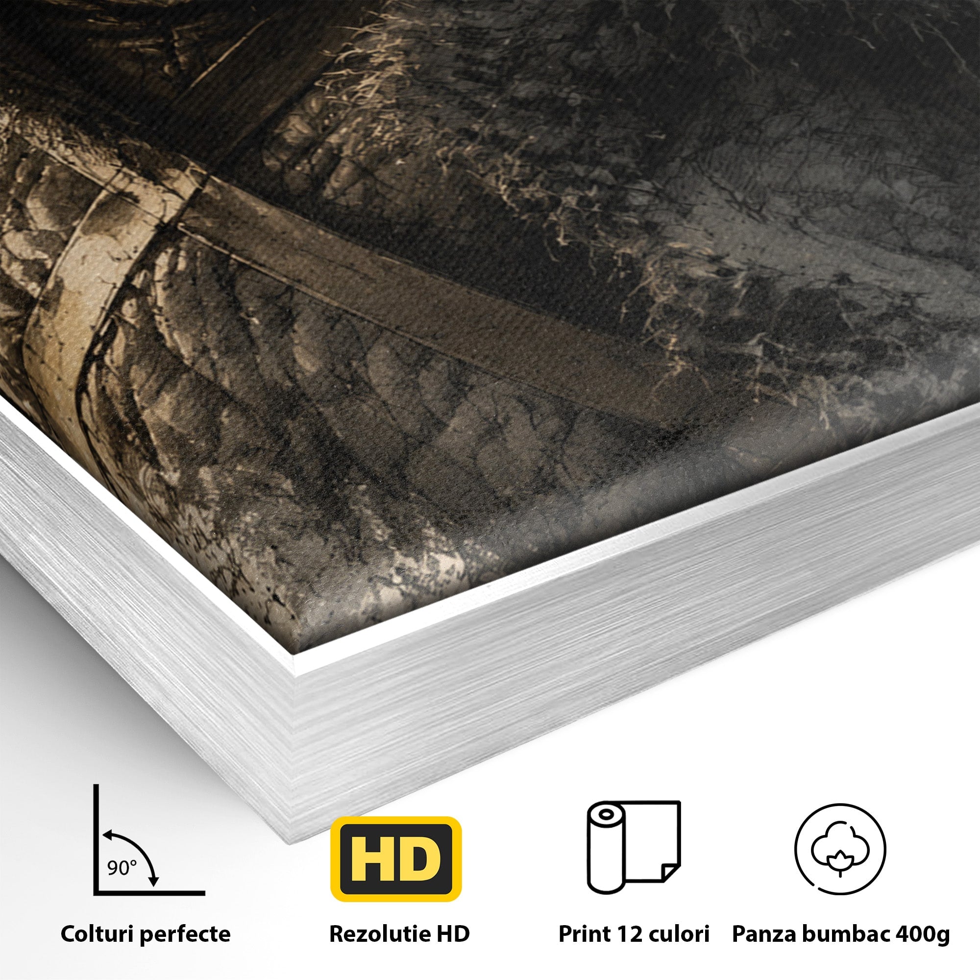 Tablou Canvas Premium LuxCanva® PI1197, Razboinic Medieval, Razboinic, Serial, Portret, Istorie, Living, Culori Vibrante
