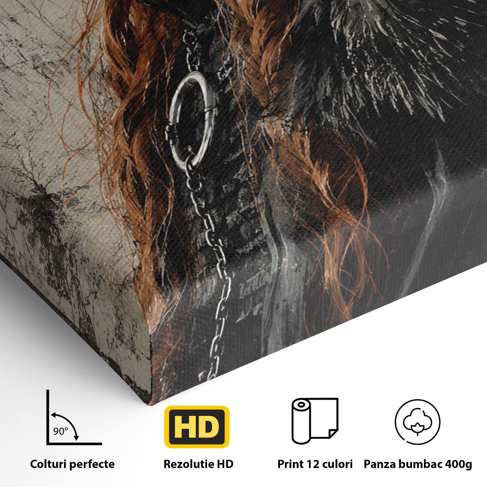 Tablou Canvas Premium LuxCanva® PI1198, Putere Feminina, Portret, Personaj, Medieval, Fantezie, Dormitor, Culori Vibrante