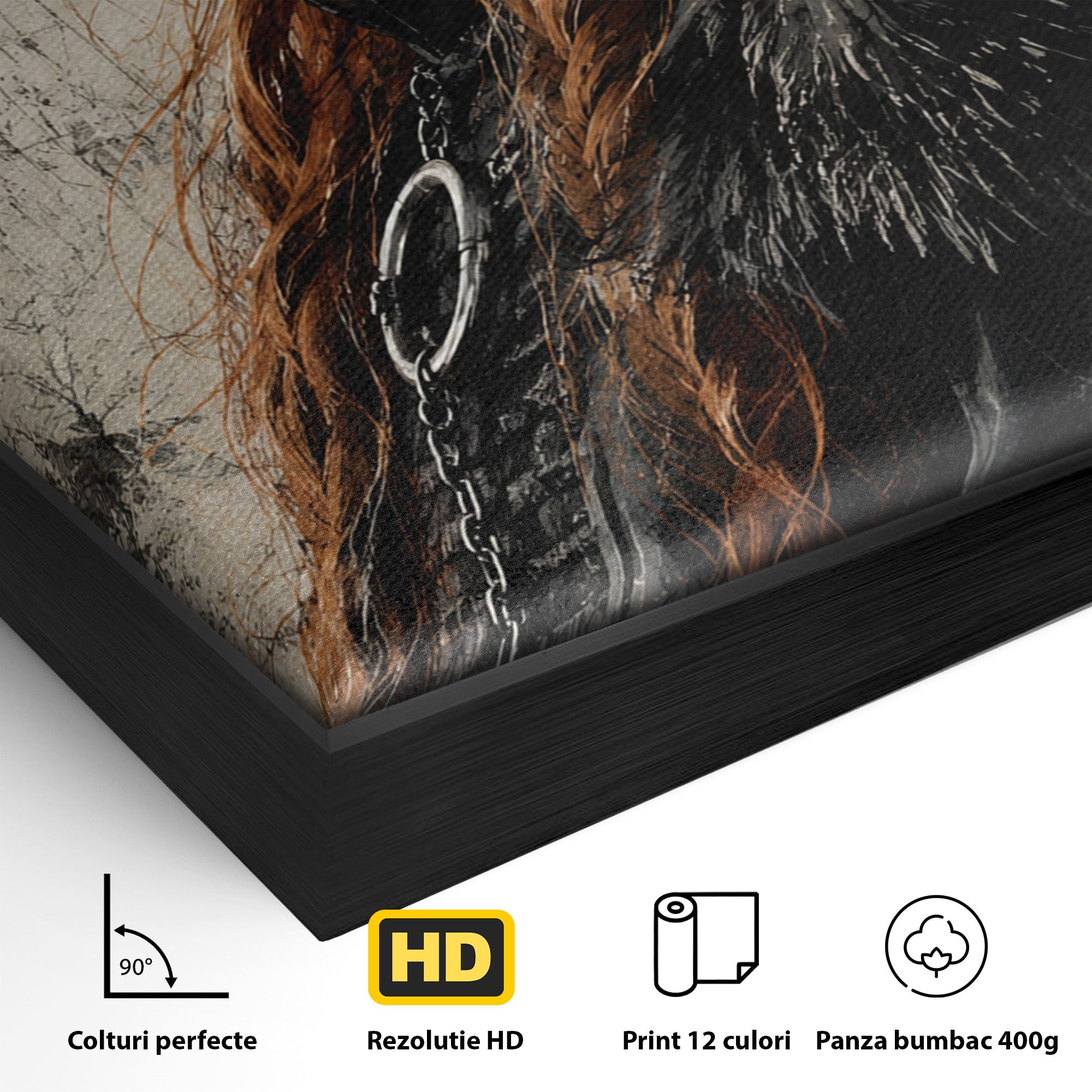 Tablou Canvas Premium LuxCanva® PI1198, Putere Feminina, Portret, Personaj, Medieval, Fantezie, Dormitor, Culori Vibrante
