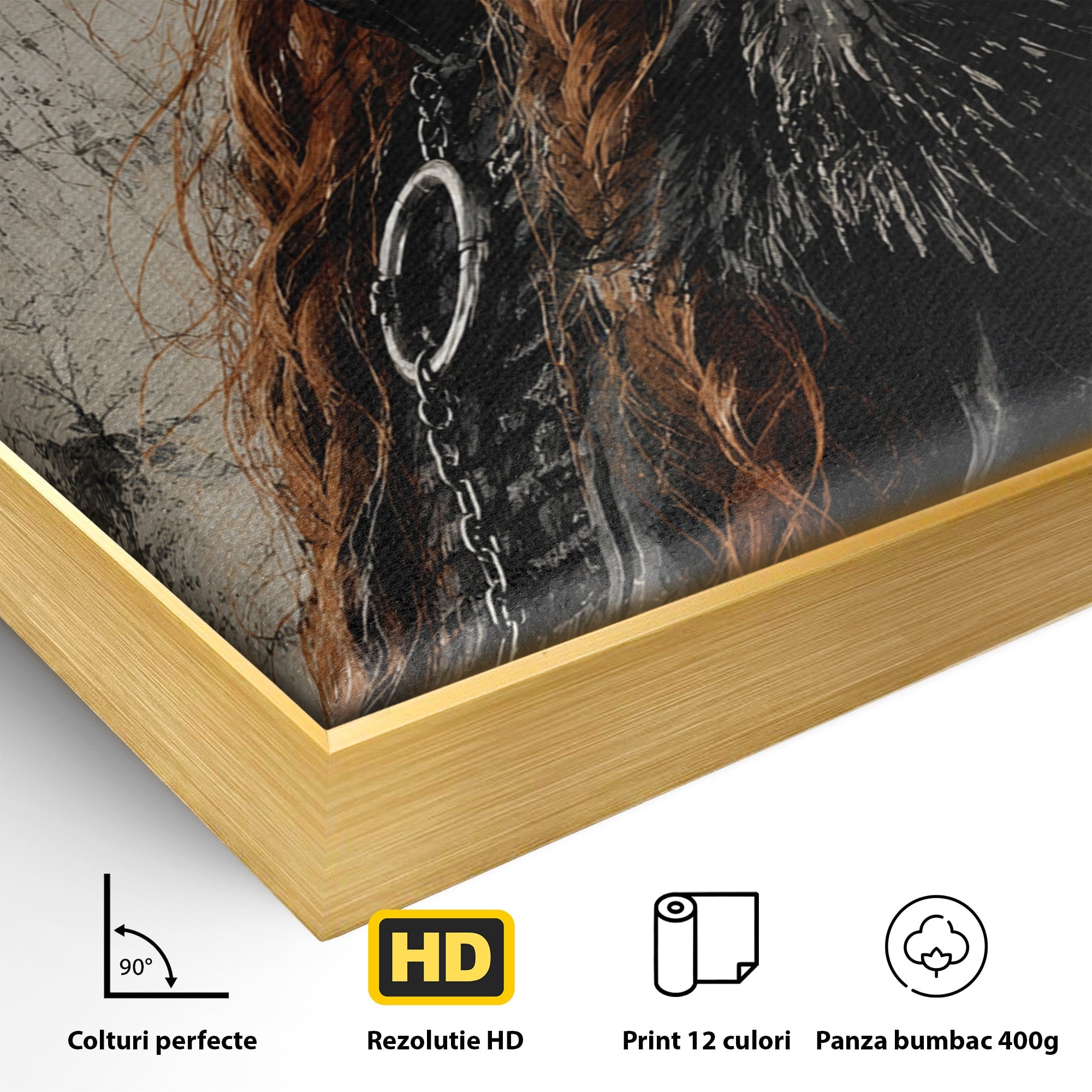 Tablou Canvas Premium LuxCanva® PI1198, Putere Feminina, Portret, Personaj, Medieval, Fantezie, Dormitor, Culori Vibrante