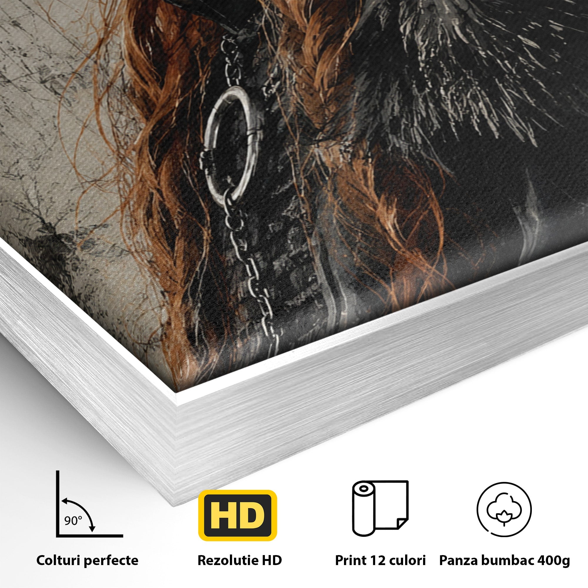 Tablou Canvas Premium LuxCanva® PI1198, Putere Feminina, Portret, Personaj, Medieval, Fantezie, Dormitor, Culori Vibrante