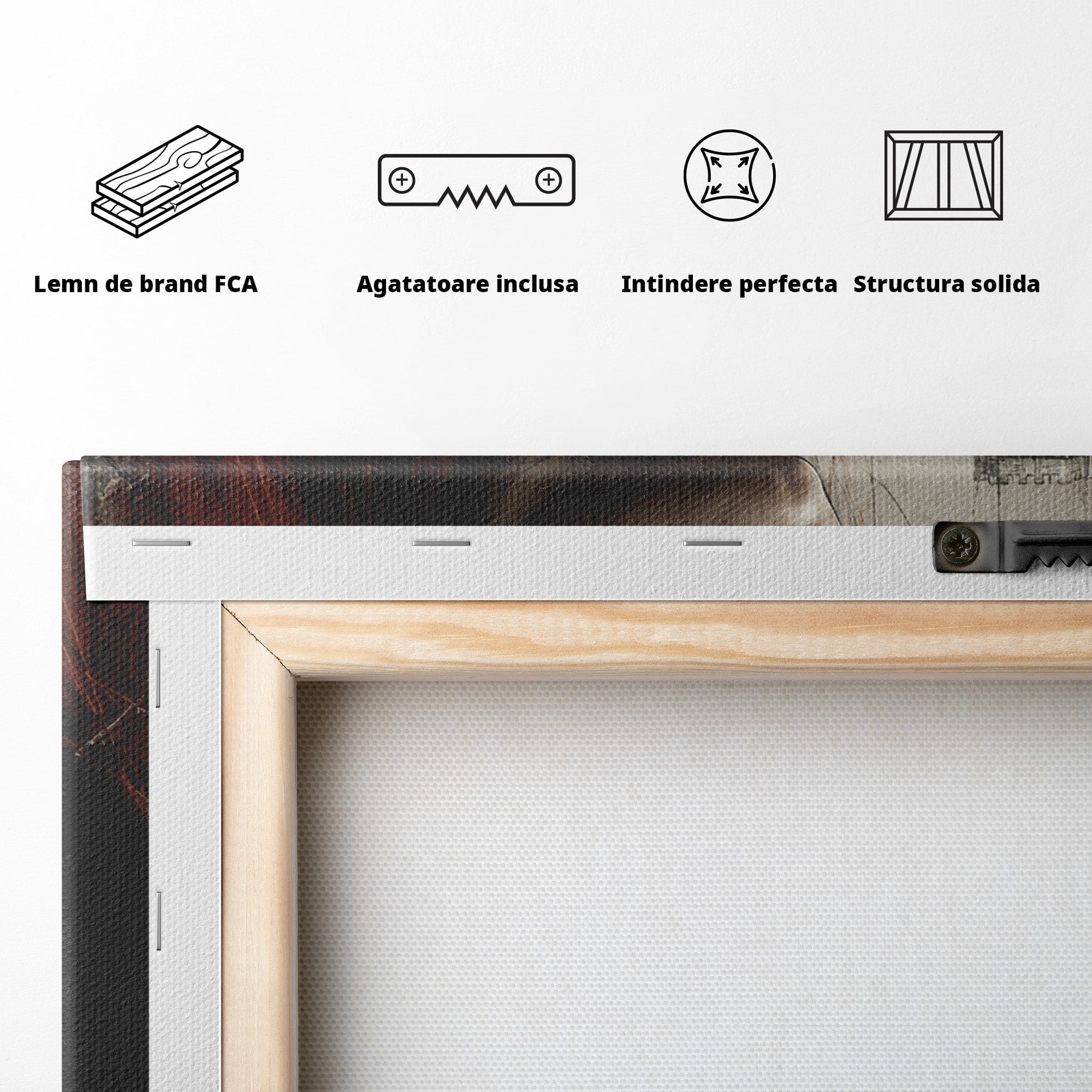 Tablou Canvas Premium LuxCanva® PI1198, Putere Feminina, Portret, Personaj, Medieval, Fantezie, Dormitor, Culori Vibrante
