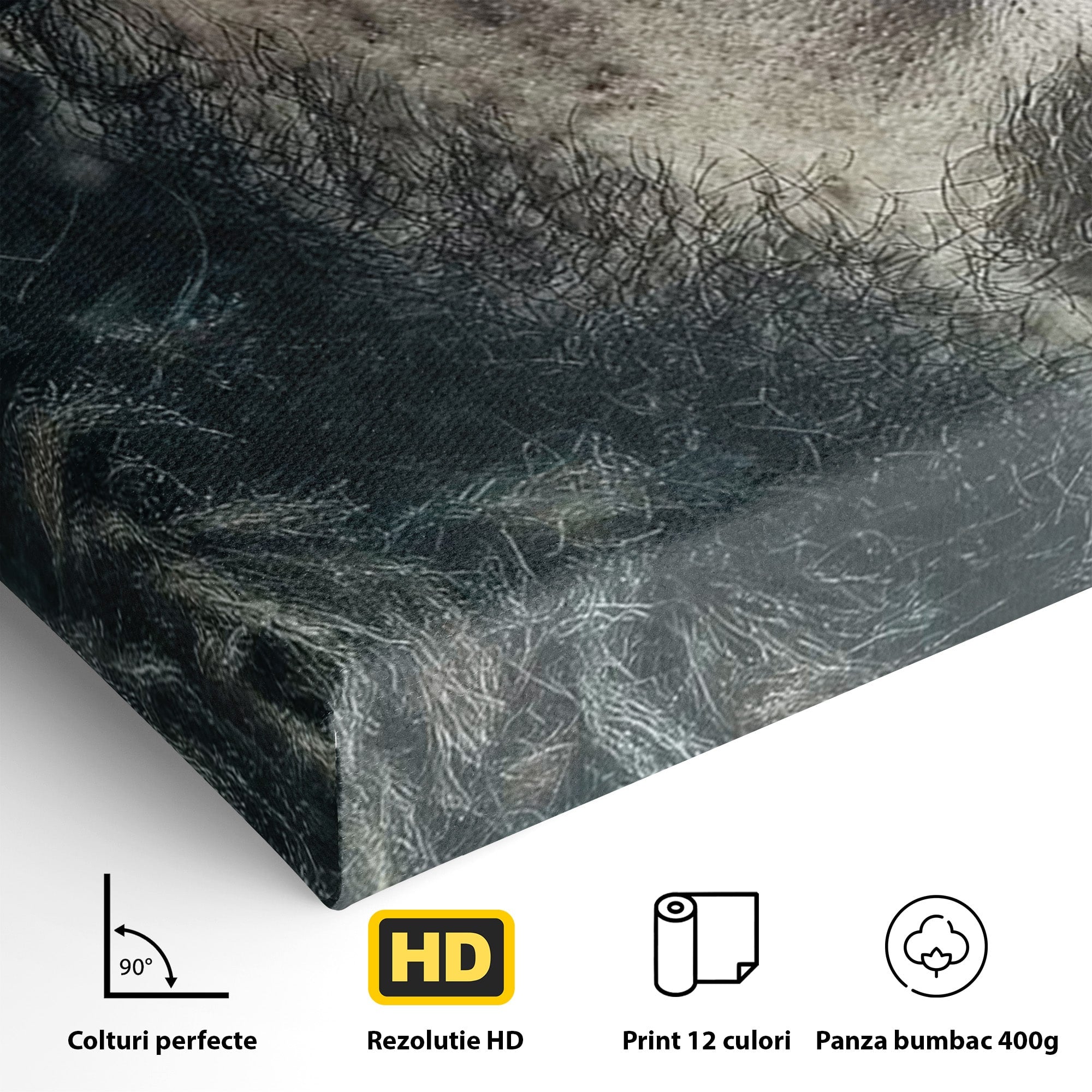 Tablou Canvas Premium LuxCanva® PI1200, Privirea lui Snow, Chip, Razboinic, Nordic, Mister, Intensitate, Living, Dormitor, Culori Vibrante