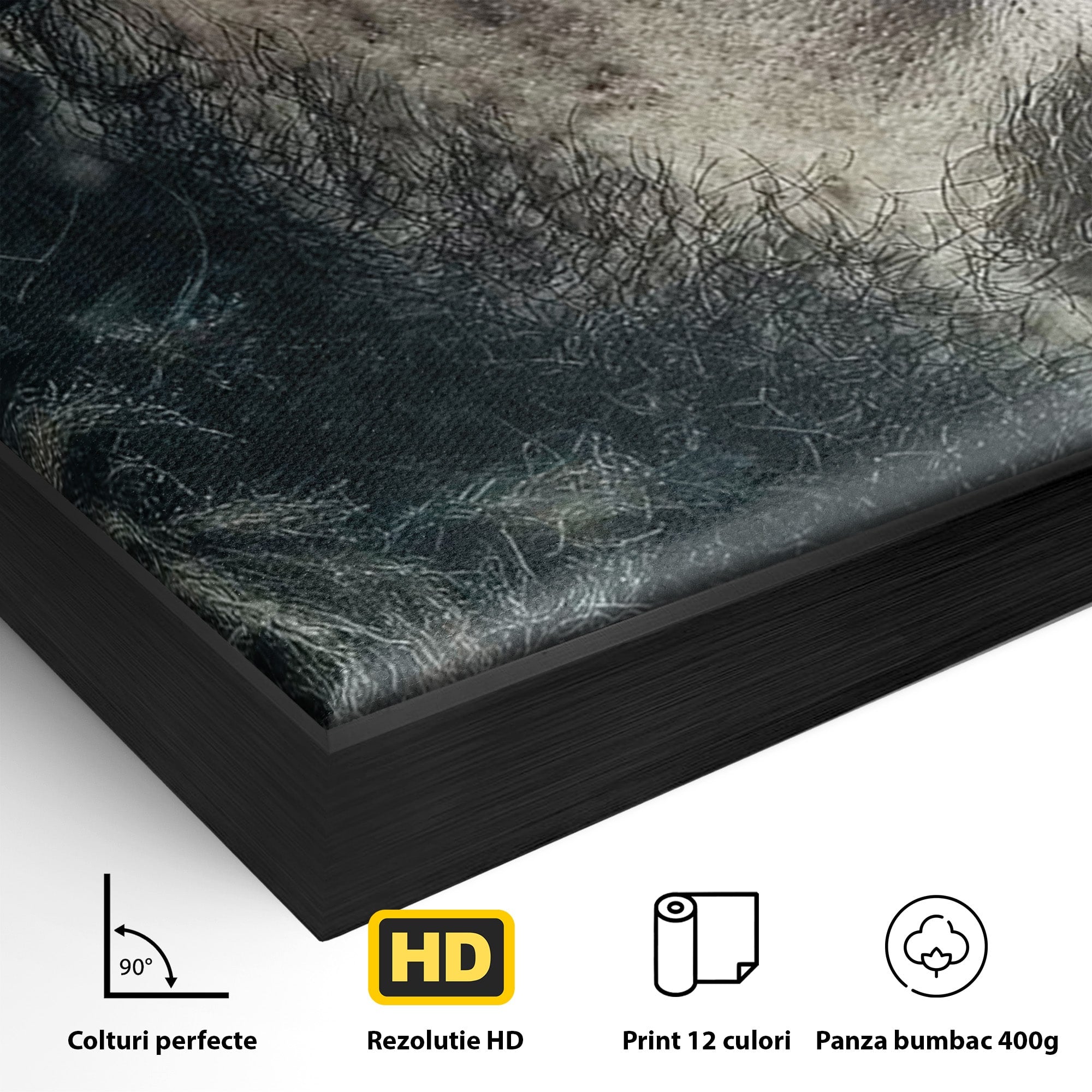 Tablou Canvas Premium LuxCanva® PI1200, Privirea lui Snow, Chip, Razboinic, Nordic, Mister, Intensitate, Living, Dormitor, Culori Vibrante