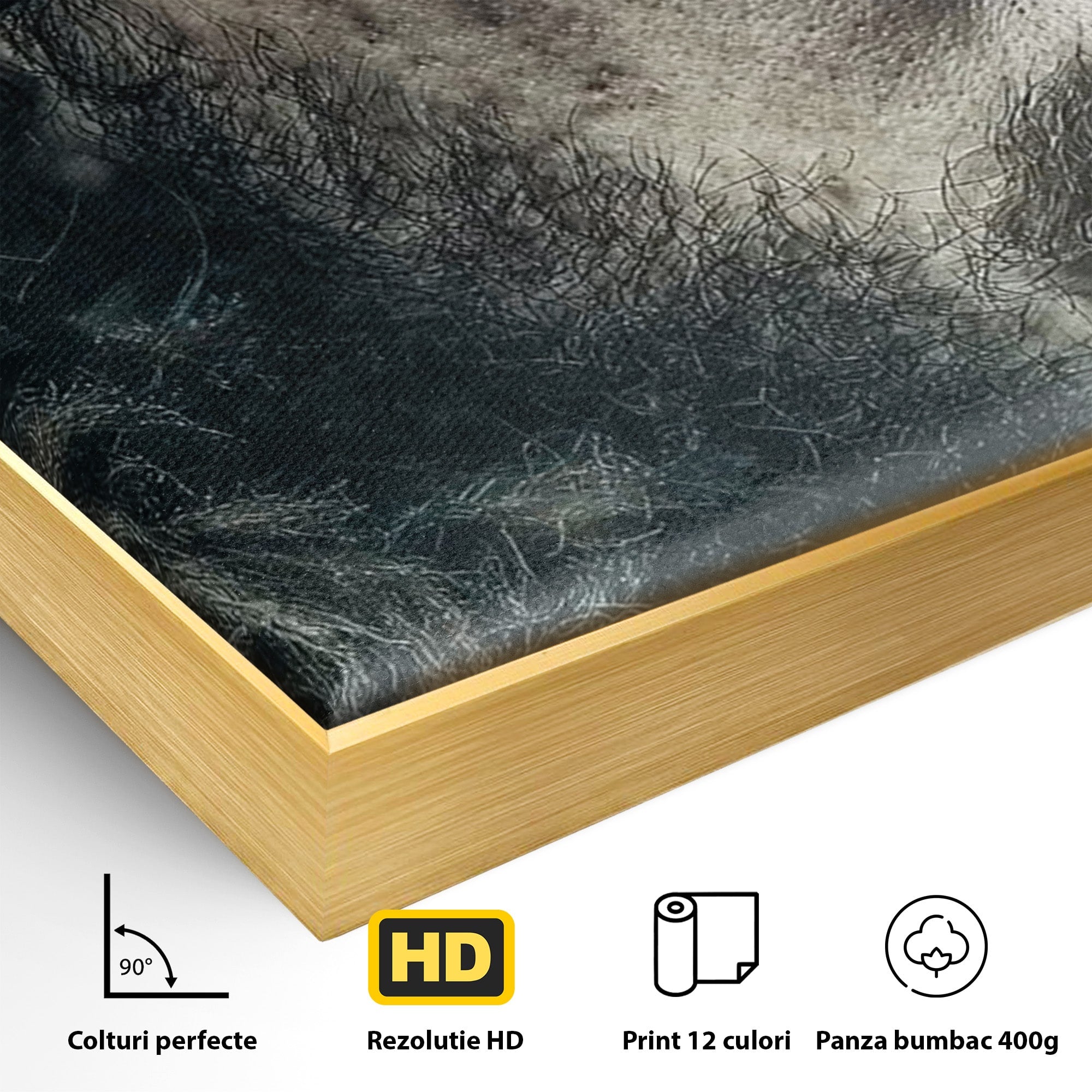 Tablou Canvas Premium LuxCanva® PI1200, Privirea lui Snow, Chip, Razboinic, Nordic, Mister, Intensitate, Living, Dormitor, Culori Vibrante