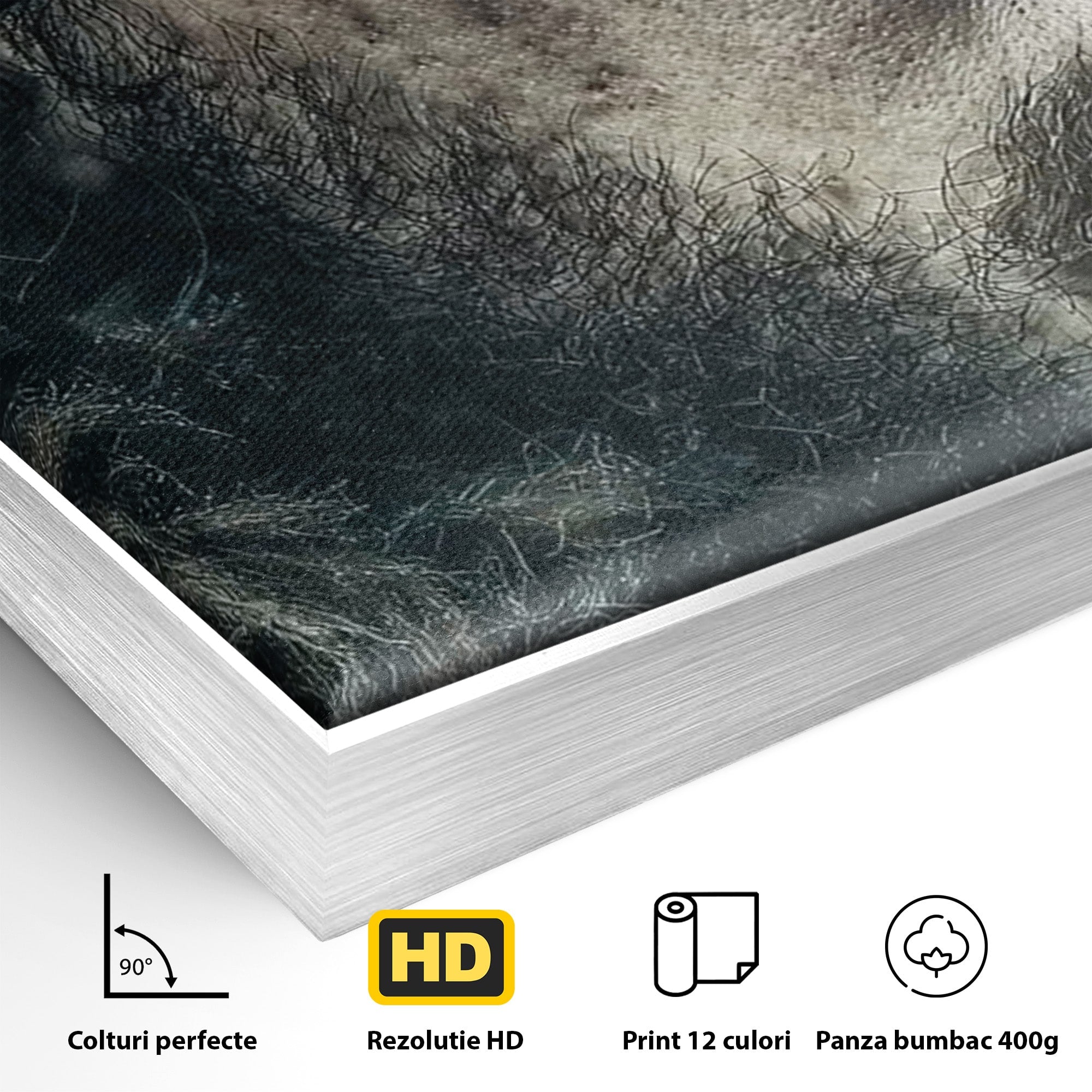 Tablou Canvas Premium LuxCanva® PI1200, Privirea lui Snow, Chip, Razboinic, Nordic, Mister, Intensitate, Living, Dormitor, Culori Vibrante