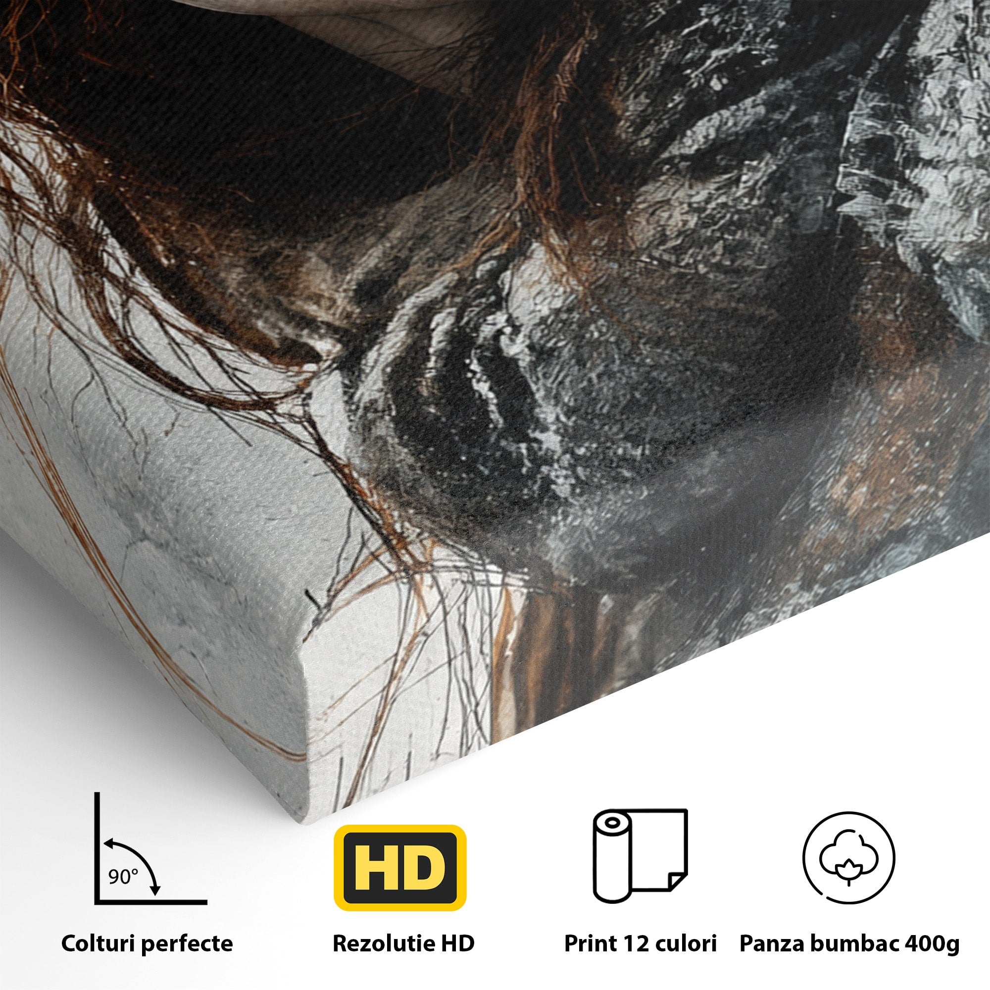 Tablou Canvas Premium LuxCanva® PI1201, Luptatoare cu Par Rosu, Portret, Femeie, Contemporan, Arta, Emotie, Living, Birou, Culori Vibrante