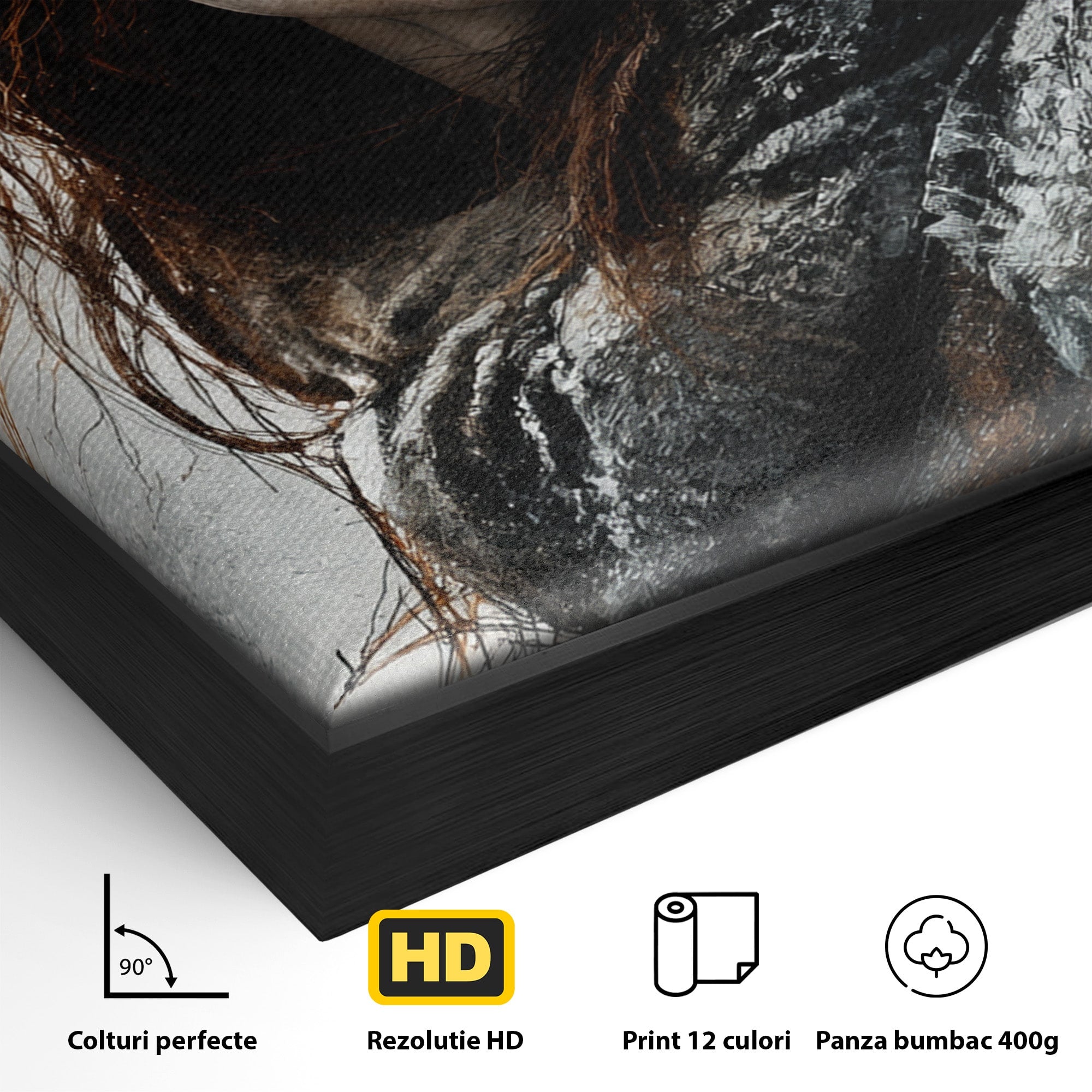Tablou Canvas Premium LuxCanva® PI1201, Luptatoare cu Par Rosu, Portret, Femeie, Contemporan, Arta, Emotie, Living, Birou, Culori Vibrante