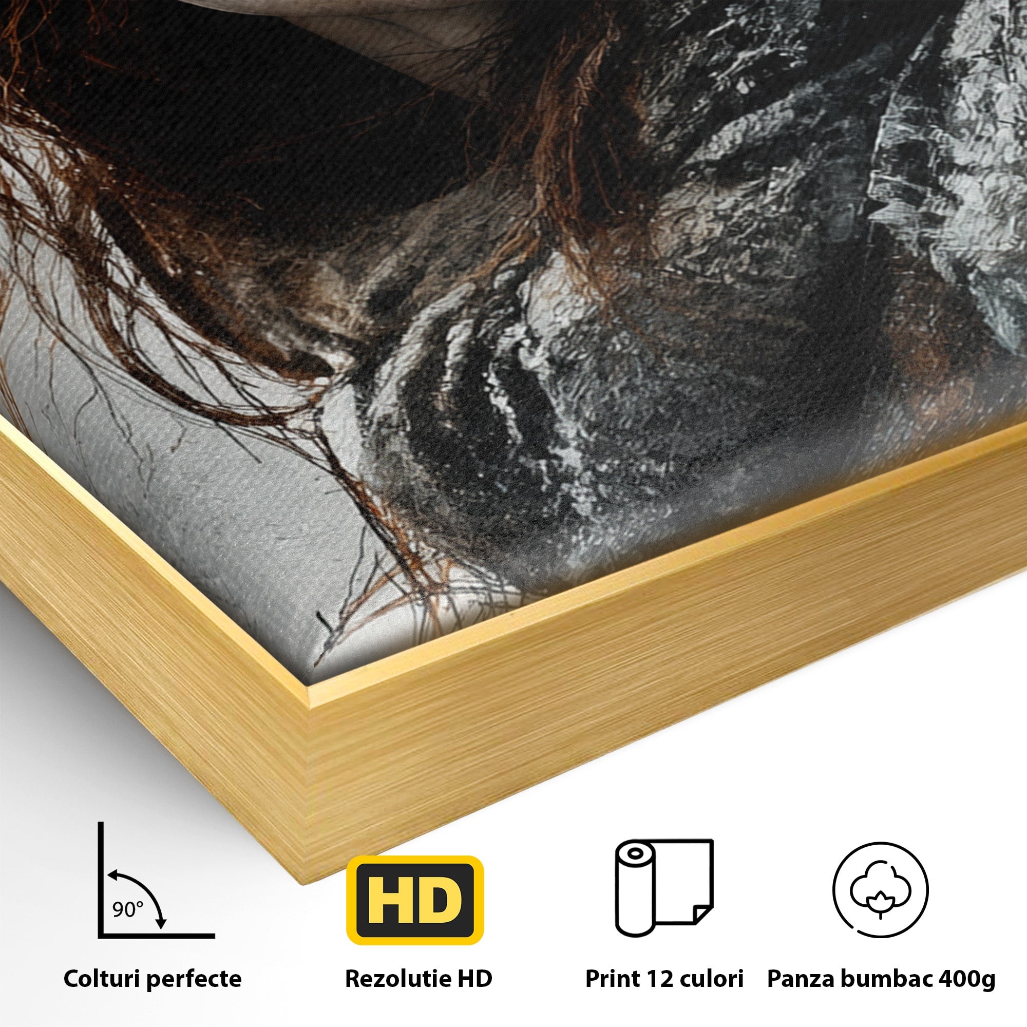 Tablou Canvas Premium LuxCanva® PI1201, Luptatoare cu Par Rosu, Portret, Femeie, Contemporan, Arta, Emotie, Living, Birou, Culori Vibrante