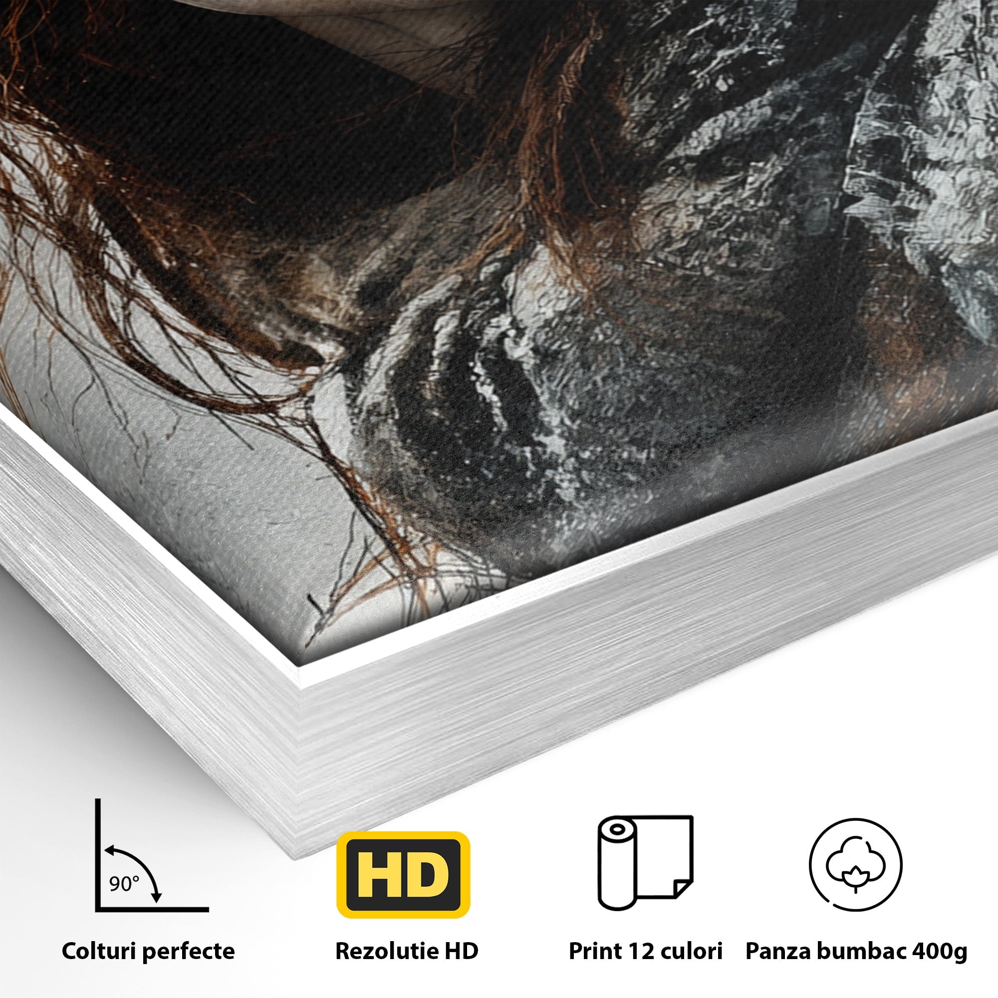 Tablou Canvas Premium LuxCanva® PI1201, Luptatoare cu Par Rosu, Portret, Femeie, Contemporan, Arta, Emotie, Living, Birou, Culori Vibrante