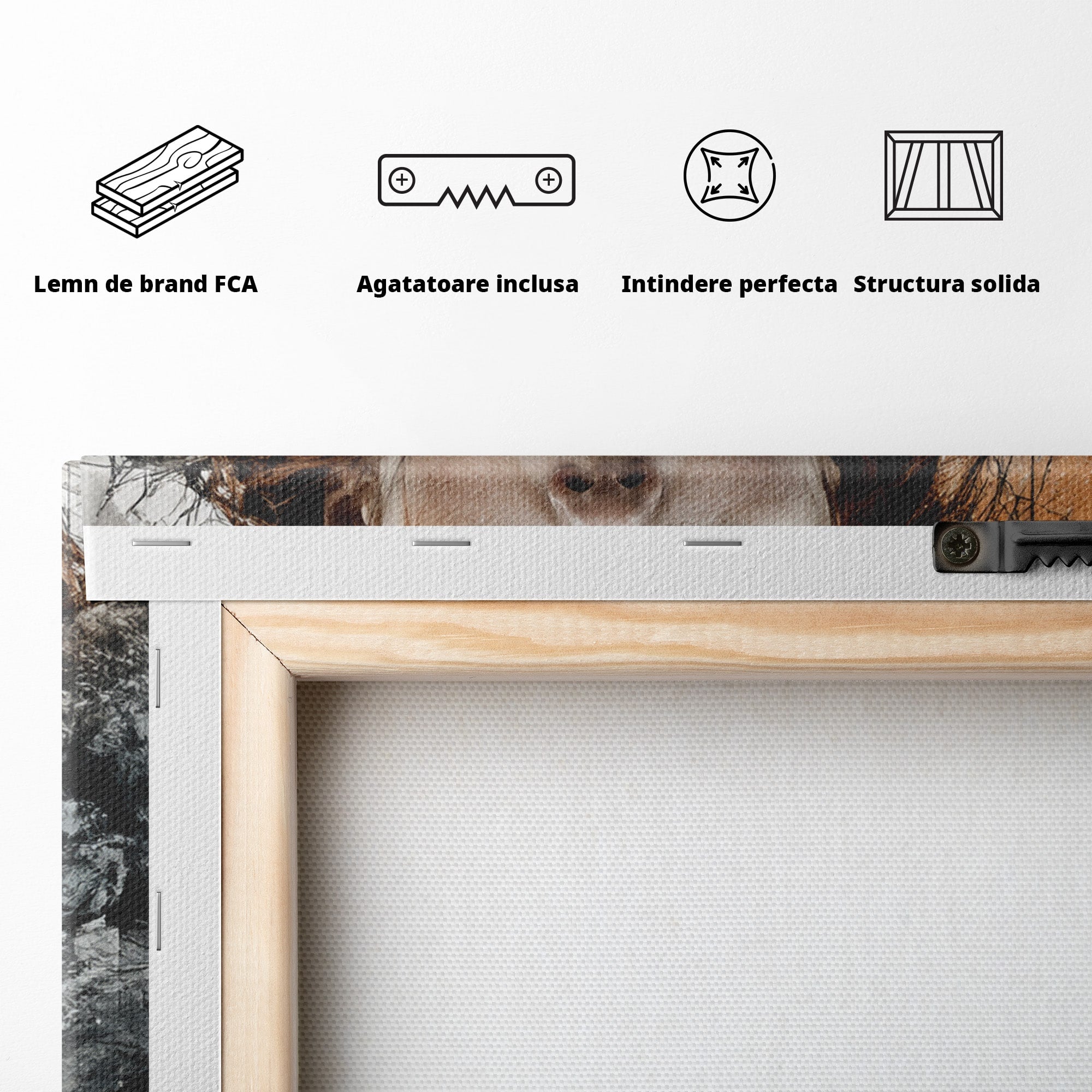 Tablou Canvas Premium LuxCanva® PI1201, Luptatoare cu Par Rosu, Portret, Femeie, Contemporan, Arta, Emotie, Living, Birou, Culori Vibrante
