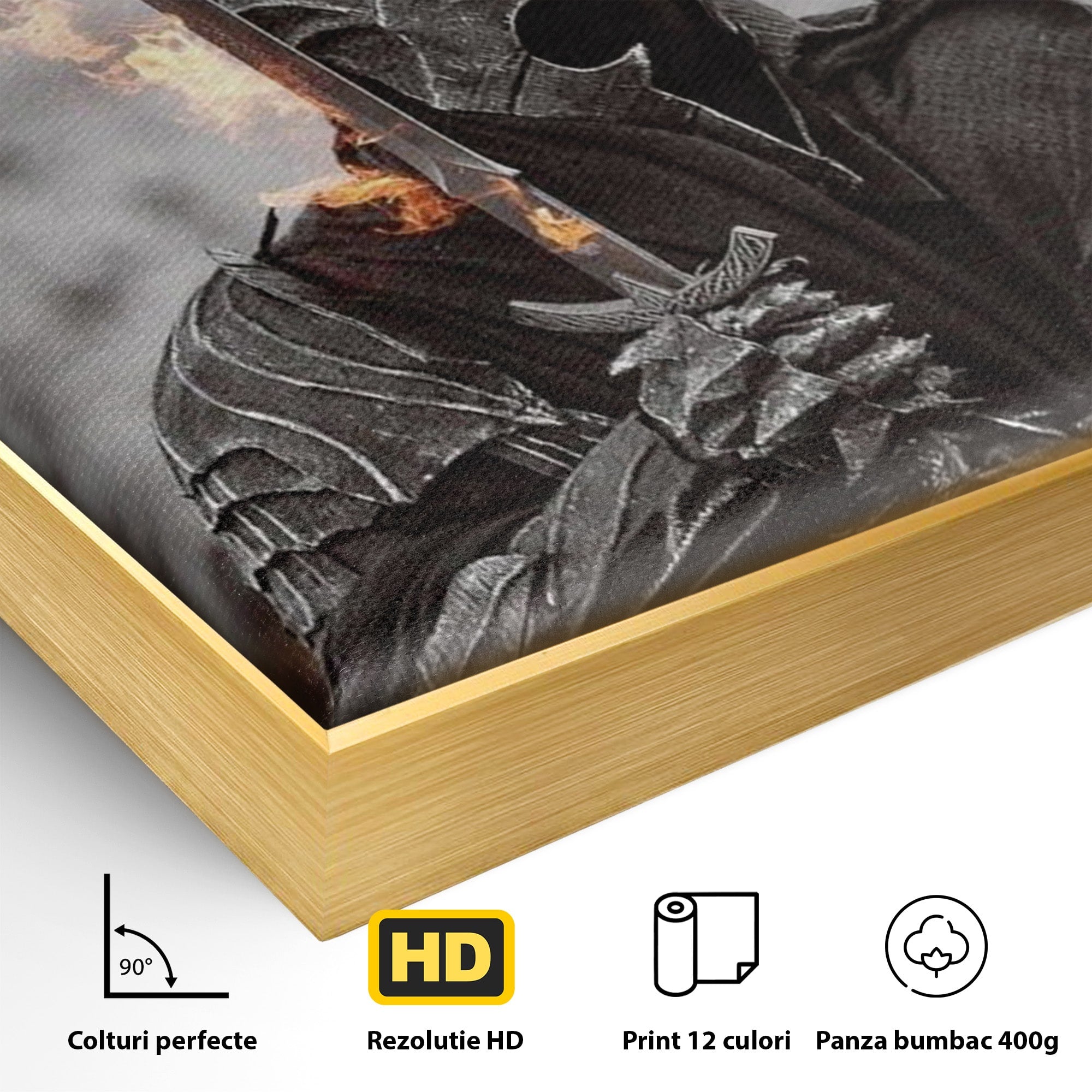 Tablou Canvas Premium LuxCanva® PI1205, Duhurile Inelului, Razboinic, Fantezie, Erou, Sabie, Dormitor, Living, Culori Vibrante