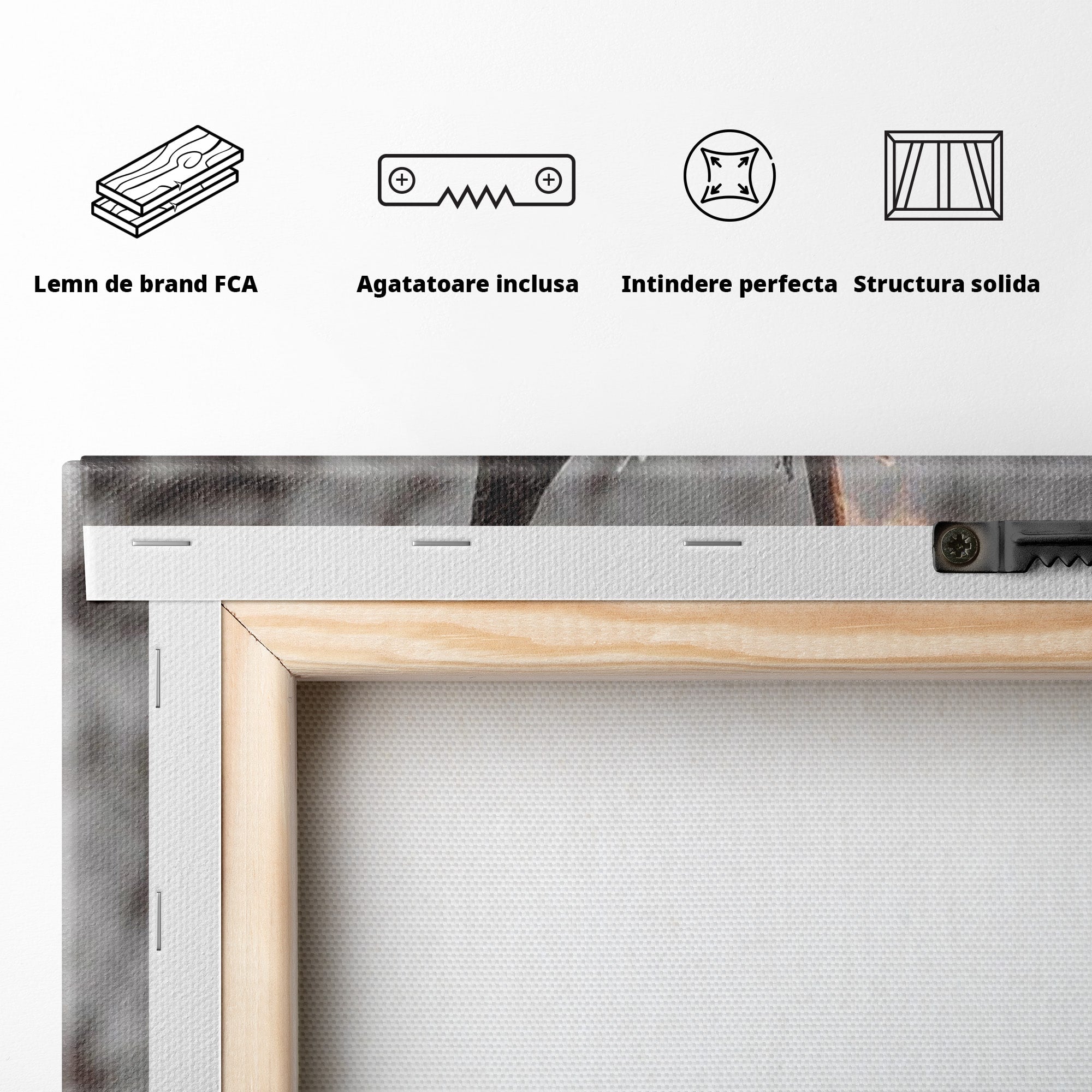 Tablou Canvas Premium LuxCanva® PI1205, Duhurile Inelului, Razboinic, Fantezie, Erou, Sabie, Dormitor, Living, Culori Vibrante