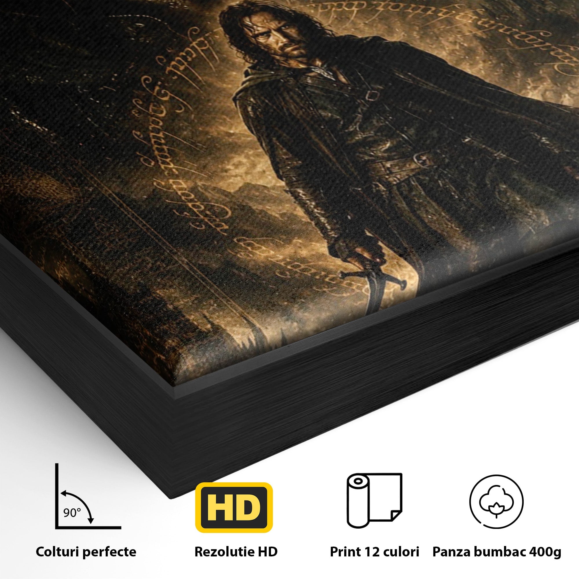 Tablou Canvas Premium LuxCanva® PI1207, Eroul Aragorn, Razboinic, Fantezie, Erou, Aventura, Epoca Medievala, Living, Culori Vibrante
