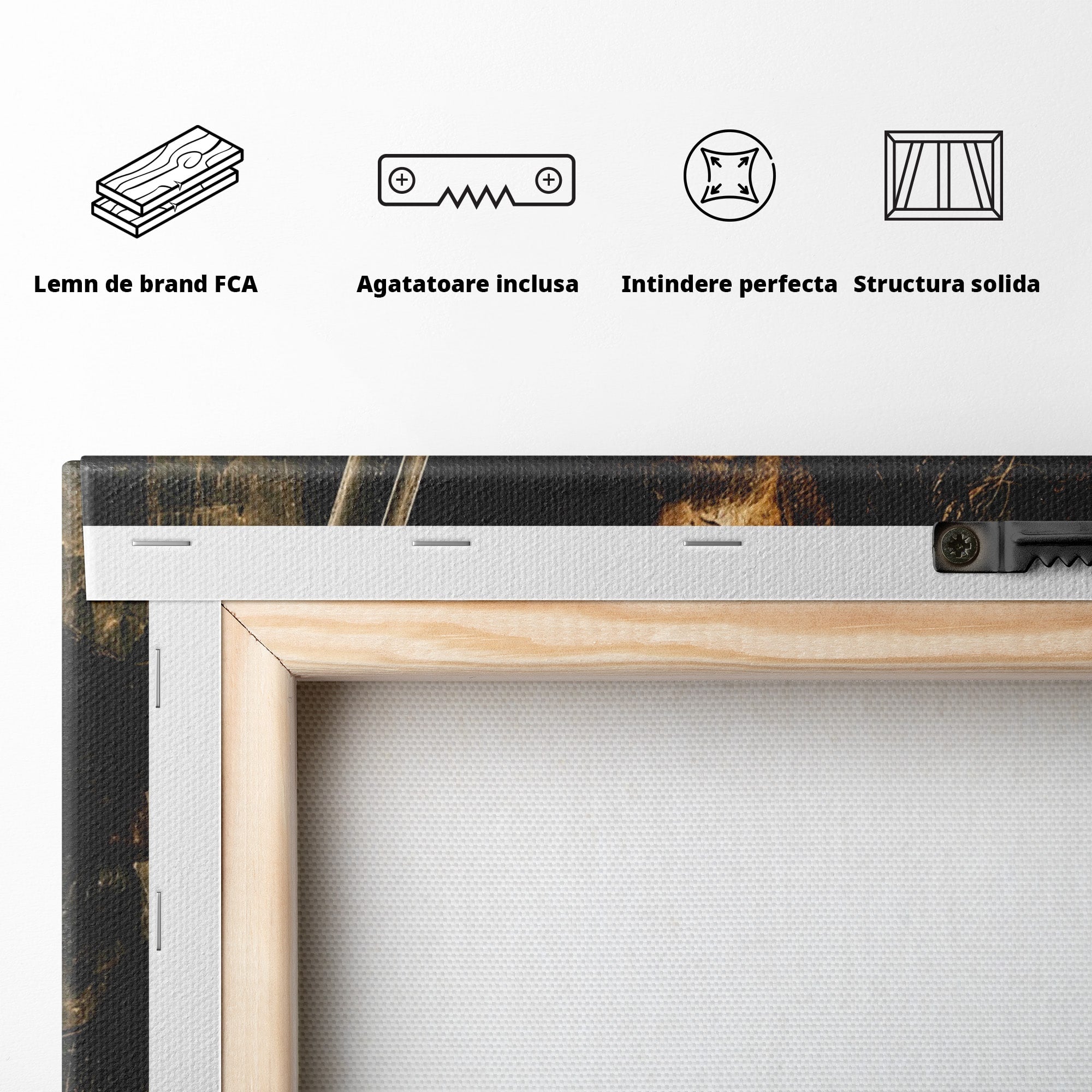 Tablou Canvas Premium LuxCanva® PI1207, Eroul Aragorn, Razboinic, Fantezie, Erou, Aventura, Epoca Medievala, Living, Culori Vibrante