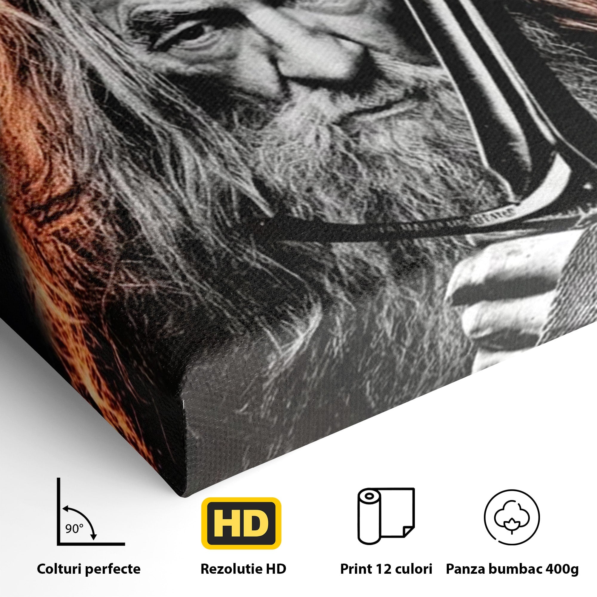 Tablou Canvas Premium LuxCanva® PI1209, Vrajitorul Si Demonul, Gandalf, Tolkien, Lupta, Epoca Medievala, Dormitor, Living, Culori Vibrante