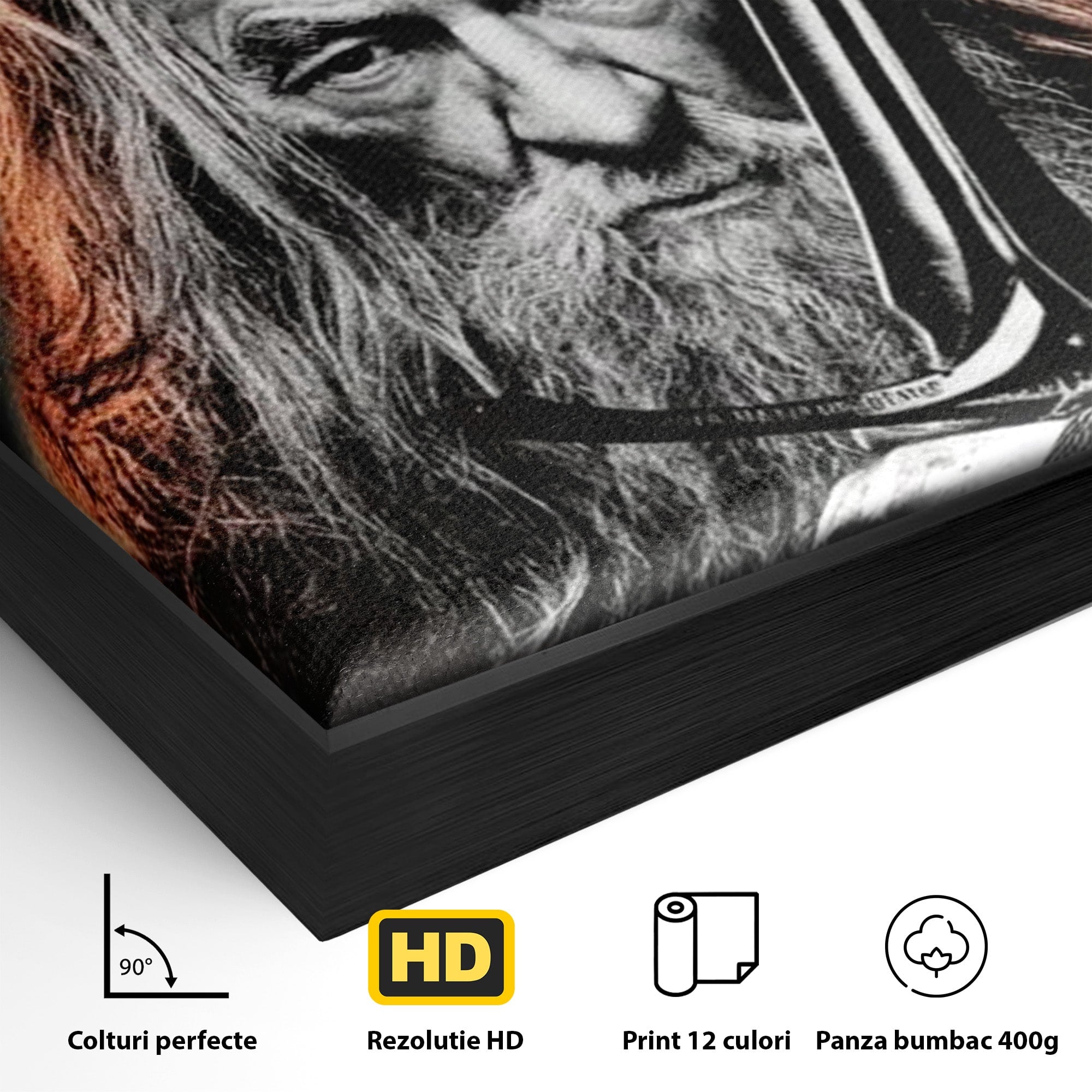 Tablou Canvas Premium LuxCanva® PI1209, Vrajitorul Si Demonul, Gandalf, Tolkien, Lupta, Epoca Medievala, Dormitor, Living, Culori Vibrante
