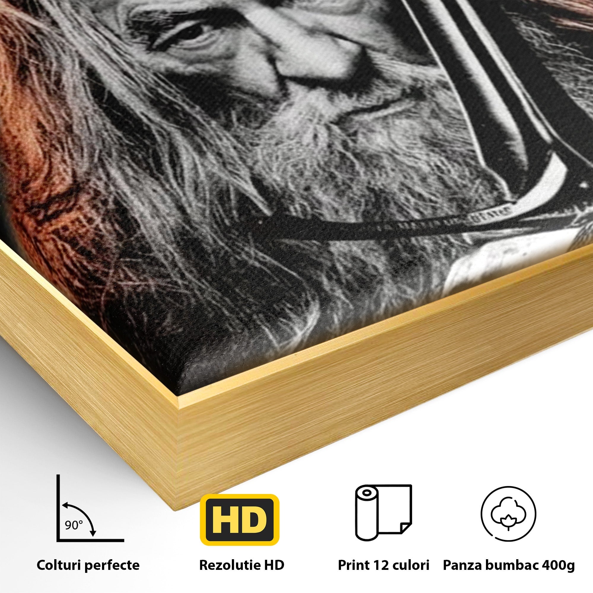 Tablou Canvas Premium LuxCanva® PI1209, Vrajitorul Si Demonul, Gandalf, Tolkien, Lupta, Epoca Medievala, Dormitor, Living, Culori Vibrante