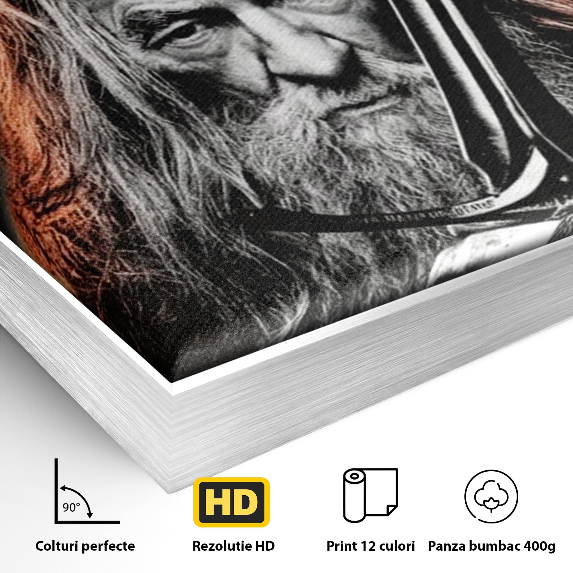 Tablou Canvas Premium LuxCanva® PI1209, Vrajitorul Si Demonul, Gandalf, Tolkien, Lupta, Epoca Medievala, Dormitor, Living, Culori Vibrante