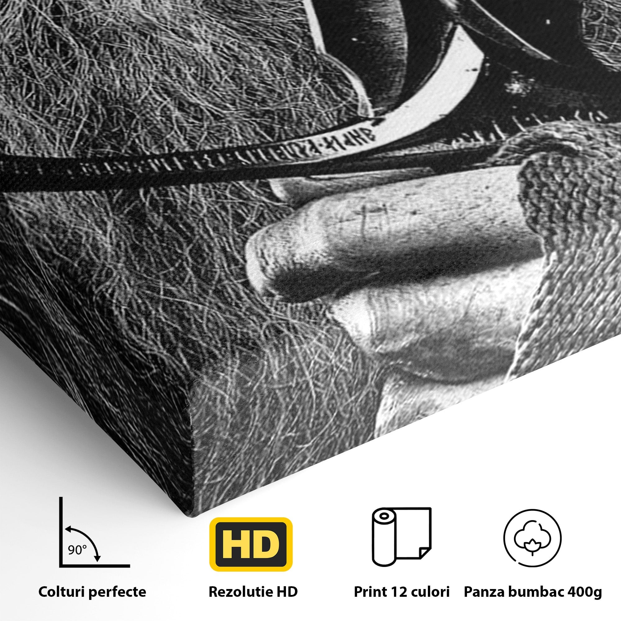 Tablou Canvas Premium LuxCanva® PI1210, Vrajitorul Cu Sabie, Pamantul de Mijloc, Sabie, Fantezie, Living, Dormitor, Culori Vibrante