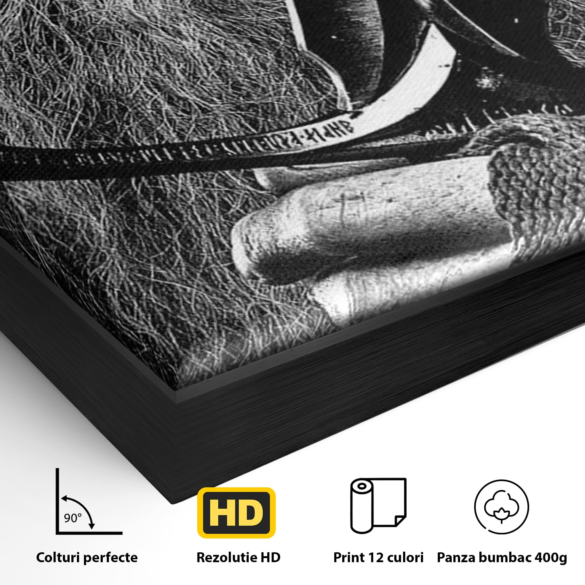 Tablou Canvas Premium LuxCanva® PI1210, Vrajitorul Cu Sabie, Pamantul de Mijloc, Sabie, Fantezie, Living, Dormitor, Culori Vibrante
