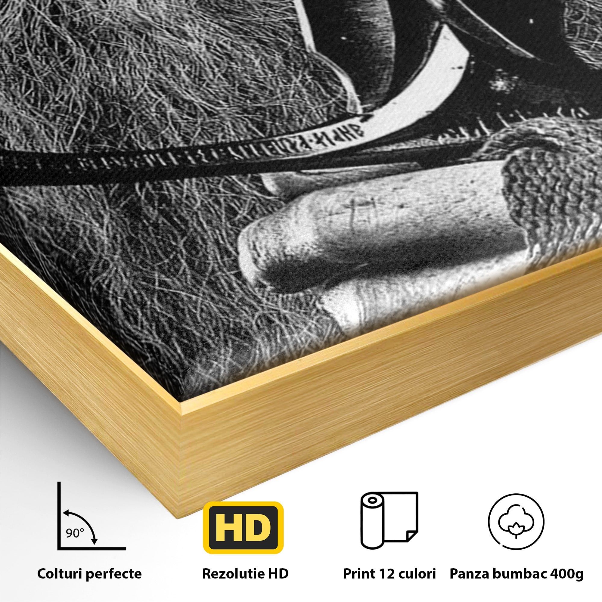 Tablou Canvas Premium LuxCanva® PI1210, Vrajitorul Cu Sabie, Pamantul de Mijloc, Sabie, Fantezie, Living, Dormitor, Culori Vibrante