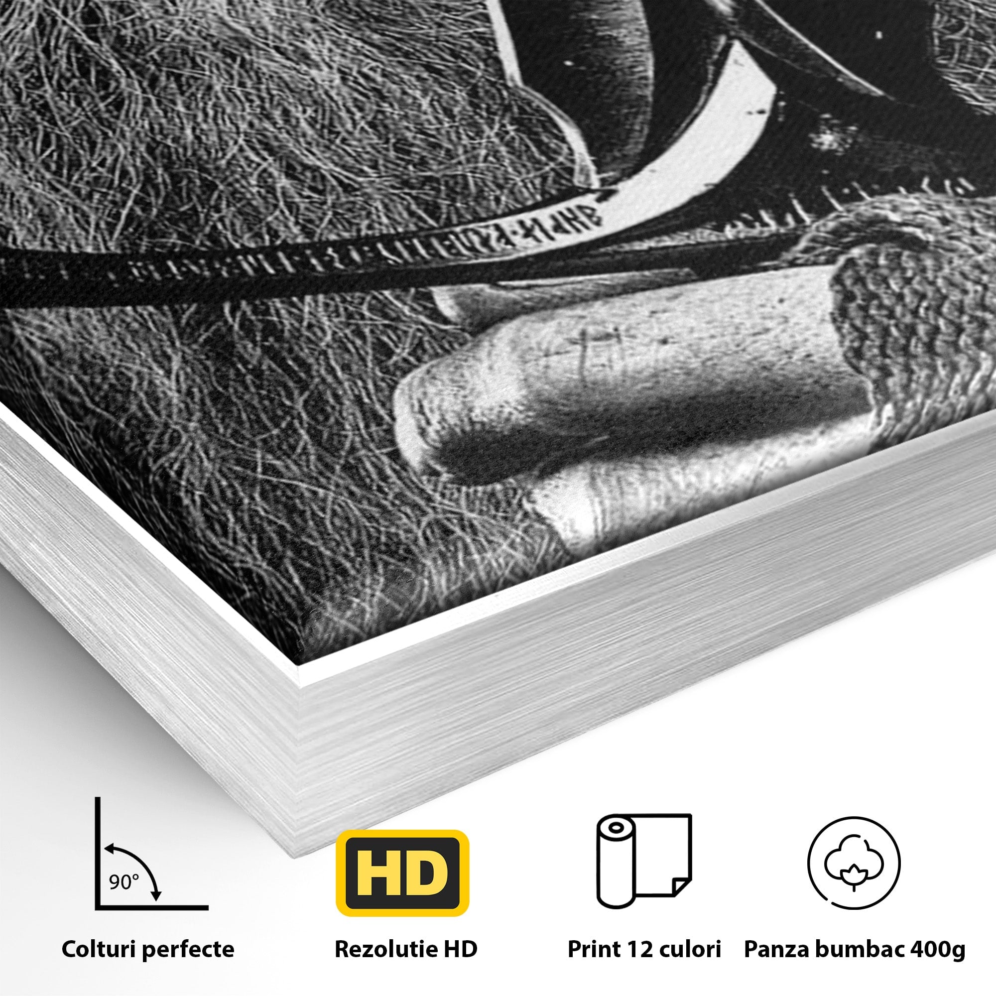 Tablou Canvas Premium LuxCanva® PI1210, Vrajitorul Cu Sabie, Pamantul de Mijloc, Sabie, Fantezie, Living, Dormitor, Culori Vibrante