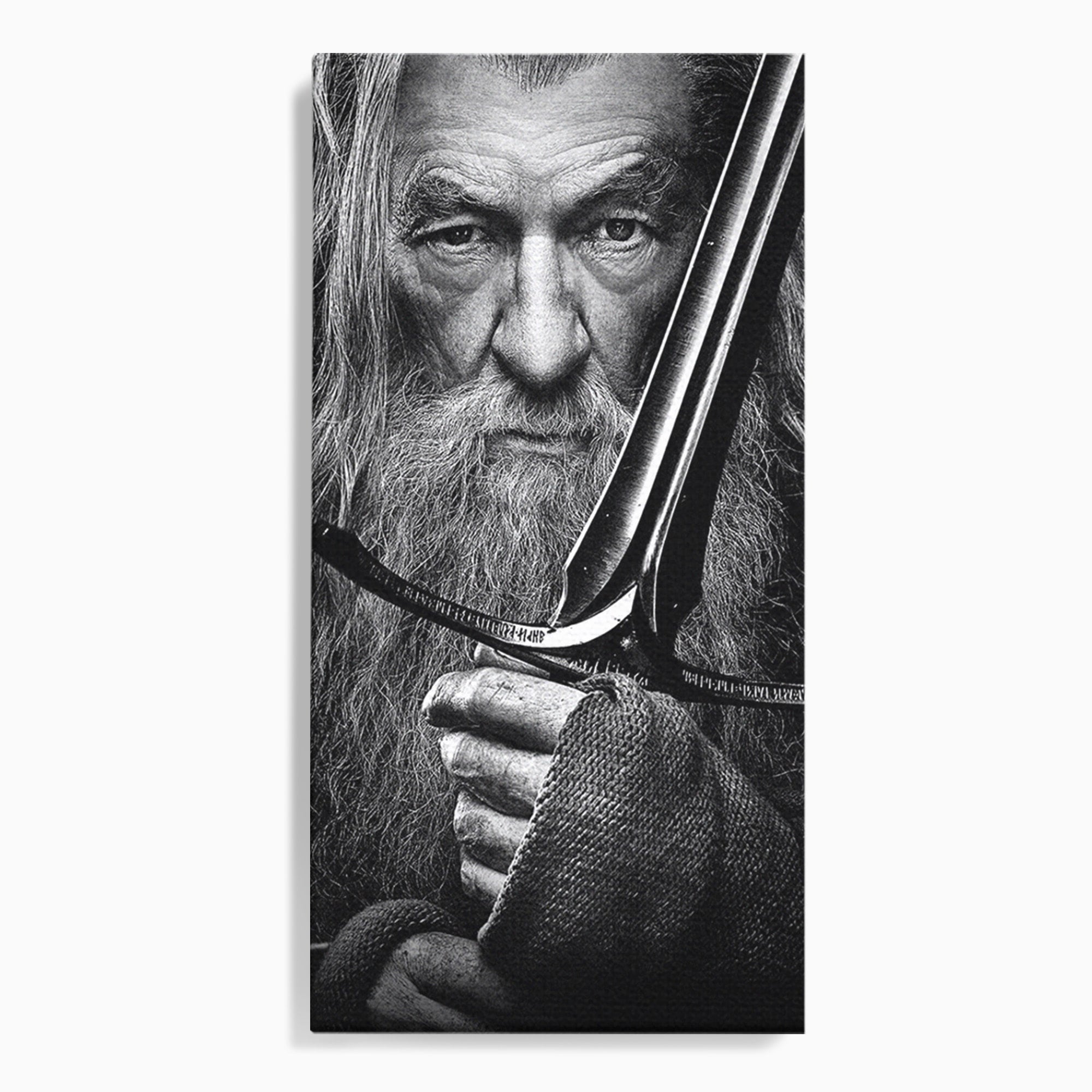Tablou Canvas Premium LuxCanva® PI1210, Vrajitorul Cu Sabie, Pamantul de Mijloc, Sabie, Fantezie, Living, Dormitor, Culori Vibrante
