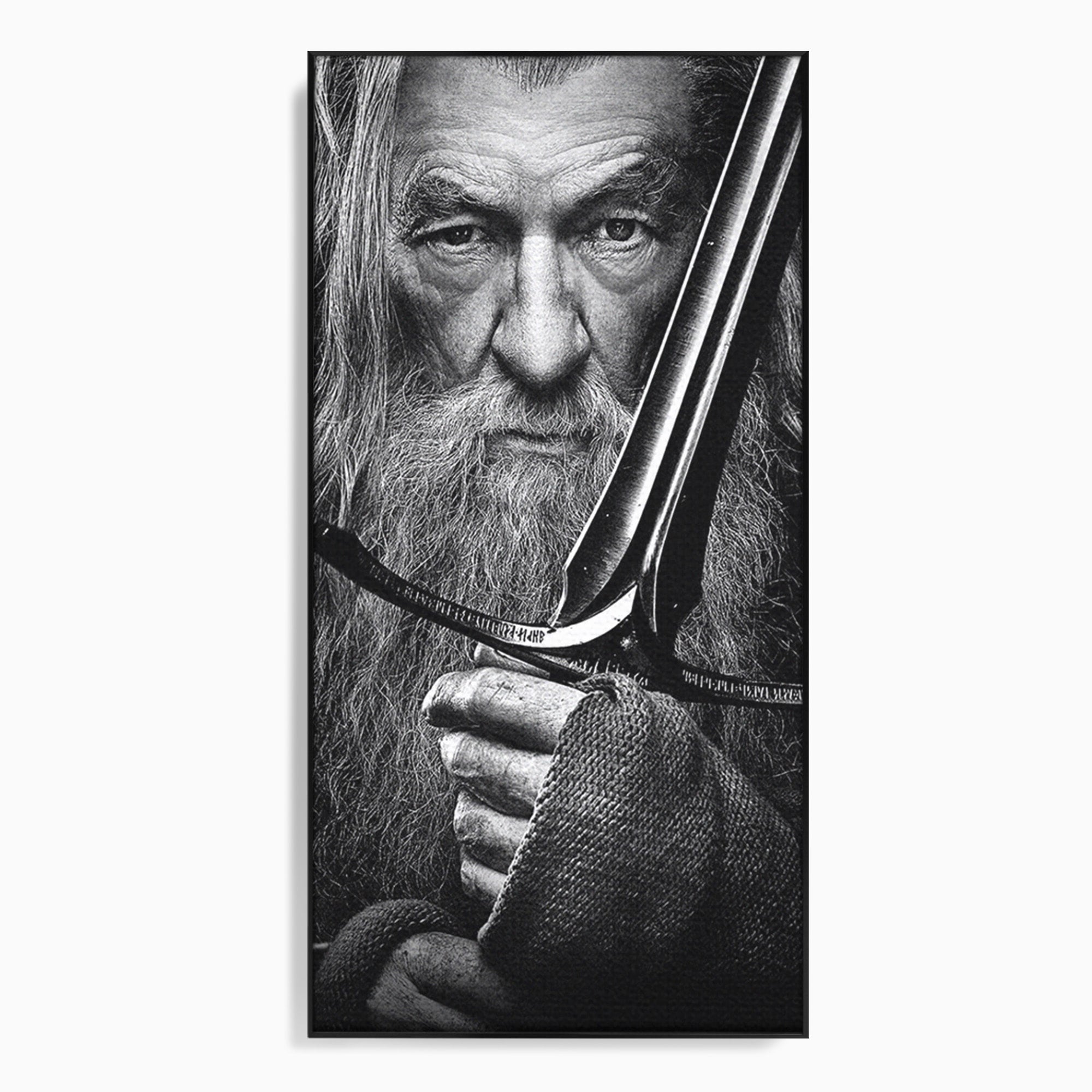 Tablou Canvas Premium LuxCanva® PI1210, Vrajitorul Cu Sabie, Pamantul de Mijloc, Sabie, Fantezie, Living, Dormitor, Culori Vibrante