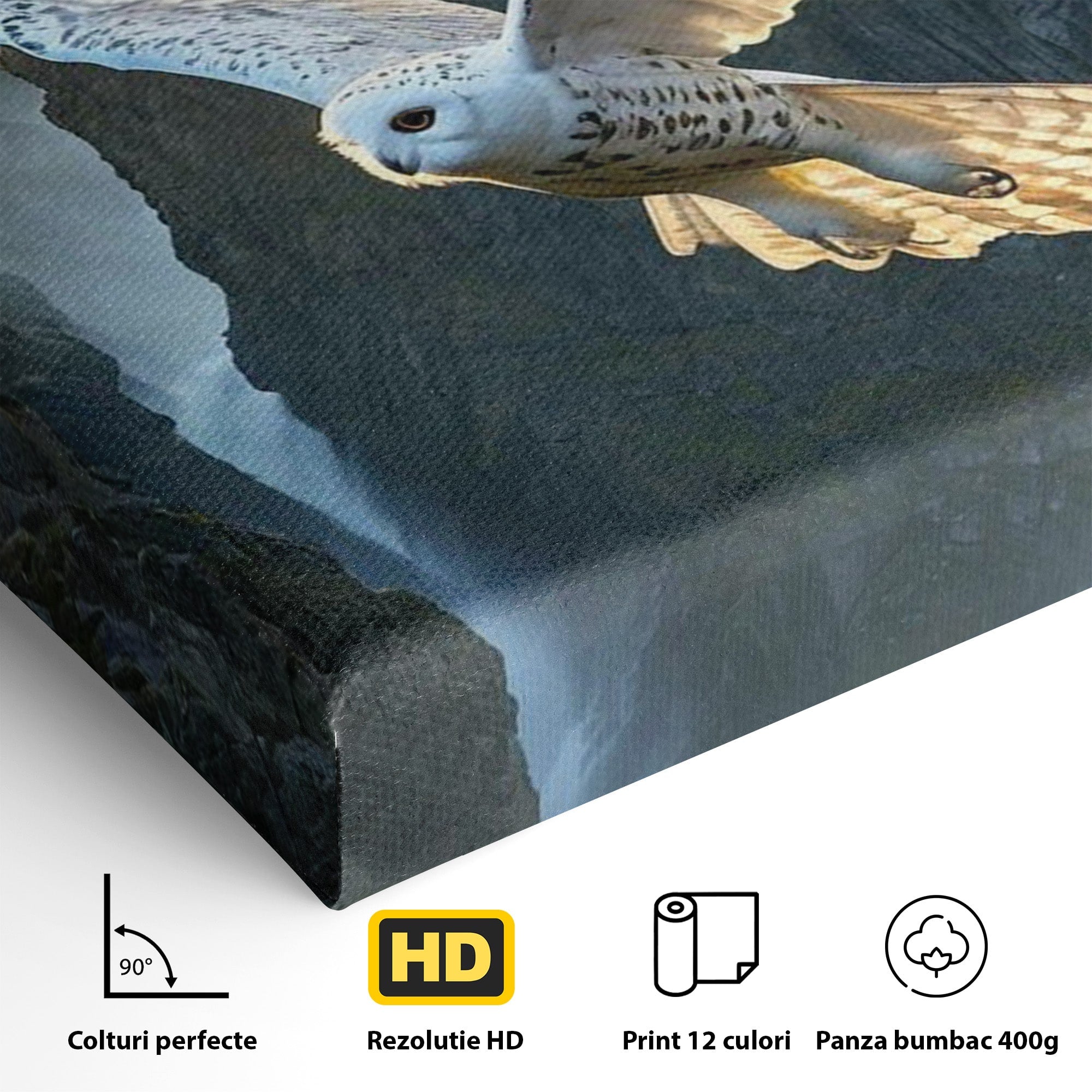 Tablou Canvas Premium LuxCanva® PI1217, Bufnita Magica, Hogwarts, Castel, Fantasy, Peisaj, Living, Culori Vibrante