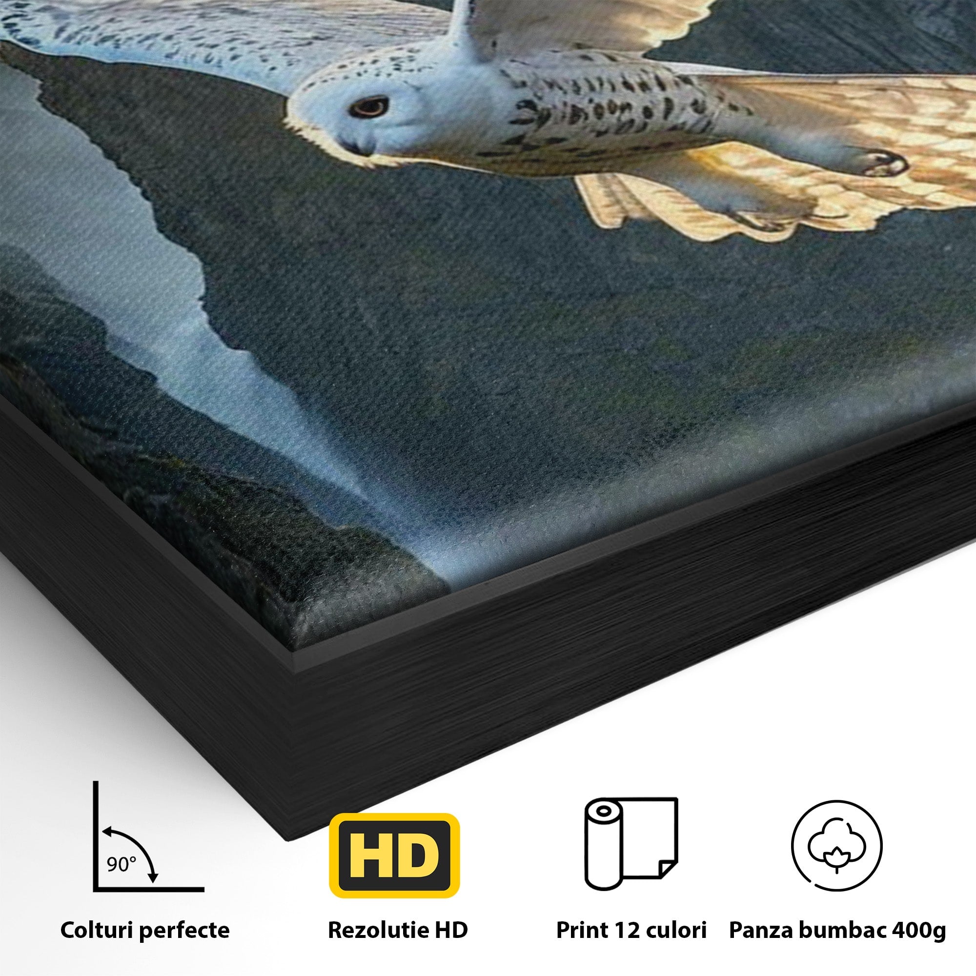 Tablou Canvas Premium LuxCanva® PI1217, Bufnita Magica, Hogwarts, Castel, Fantasy, Peisaj, Living, Culori Vibrante