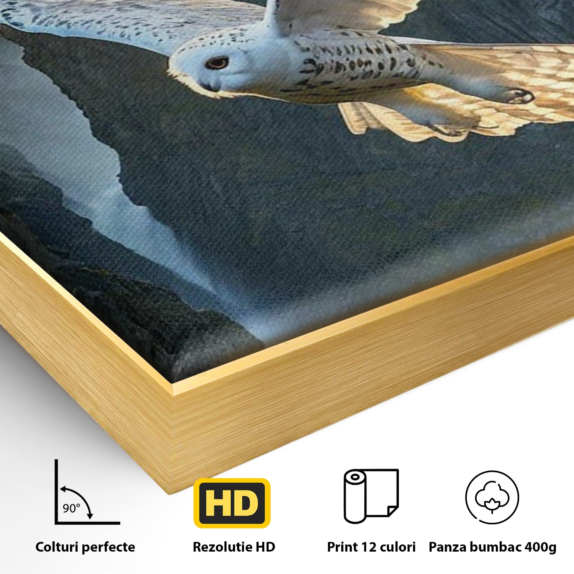 Tablou Canvas Premium LuxCanva® PI1217, Bufnita Magica, Hogwarts, Castel, Fantasy, Peisaj, Living, Culori Vibrante